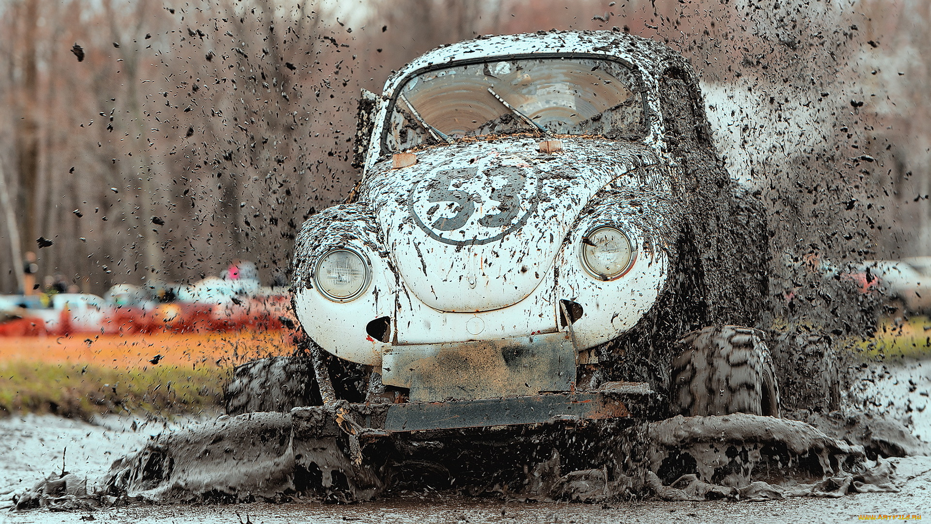 спорт, авторалли, гонка, машина