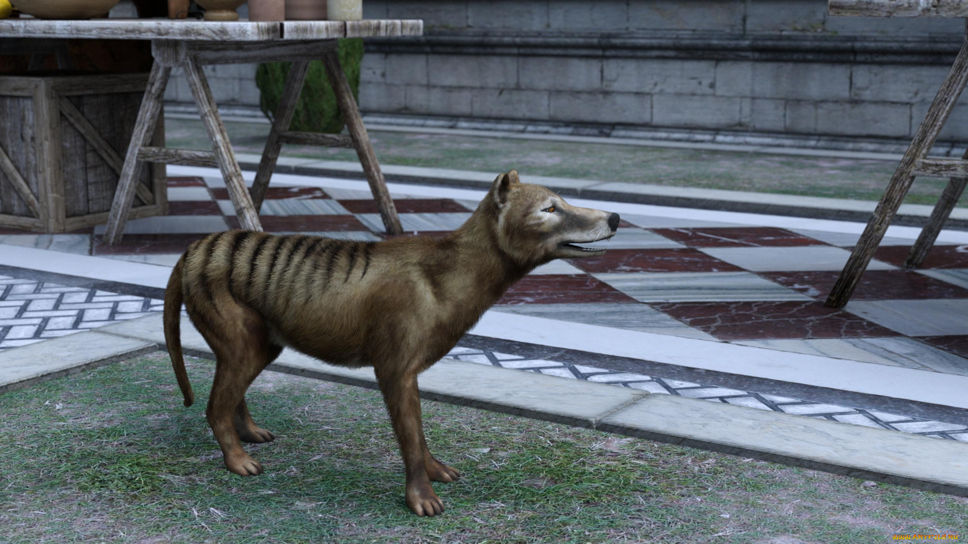 3д, графика, животные, , animals, сумчастый, волк