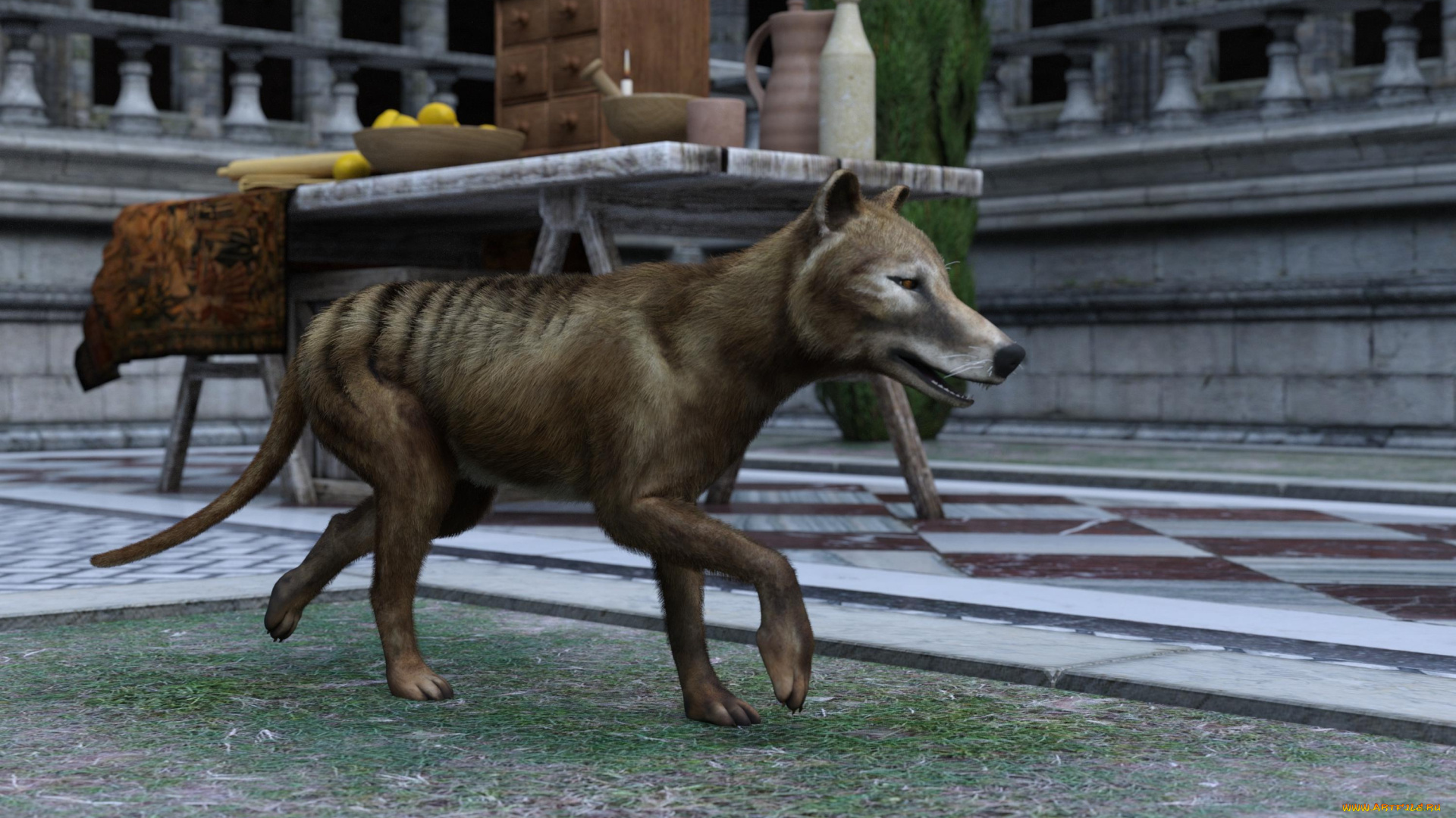 3д, графика, животные, , animals, сумчастый, волк