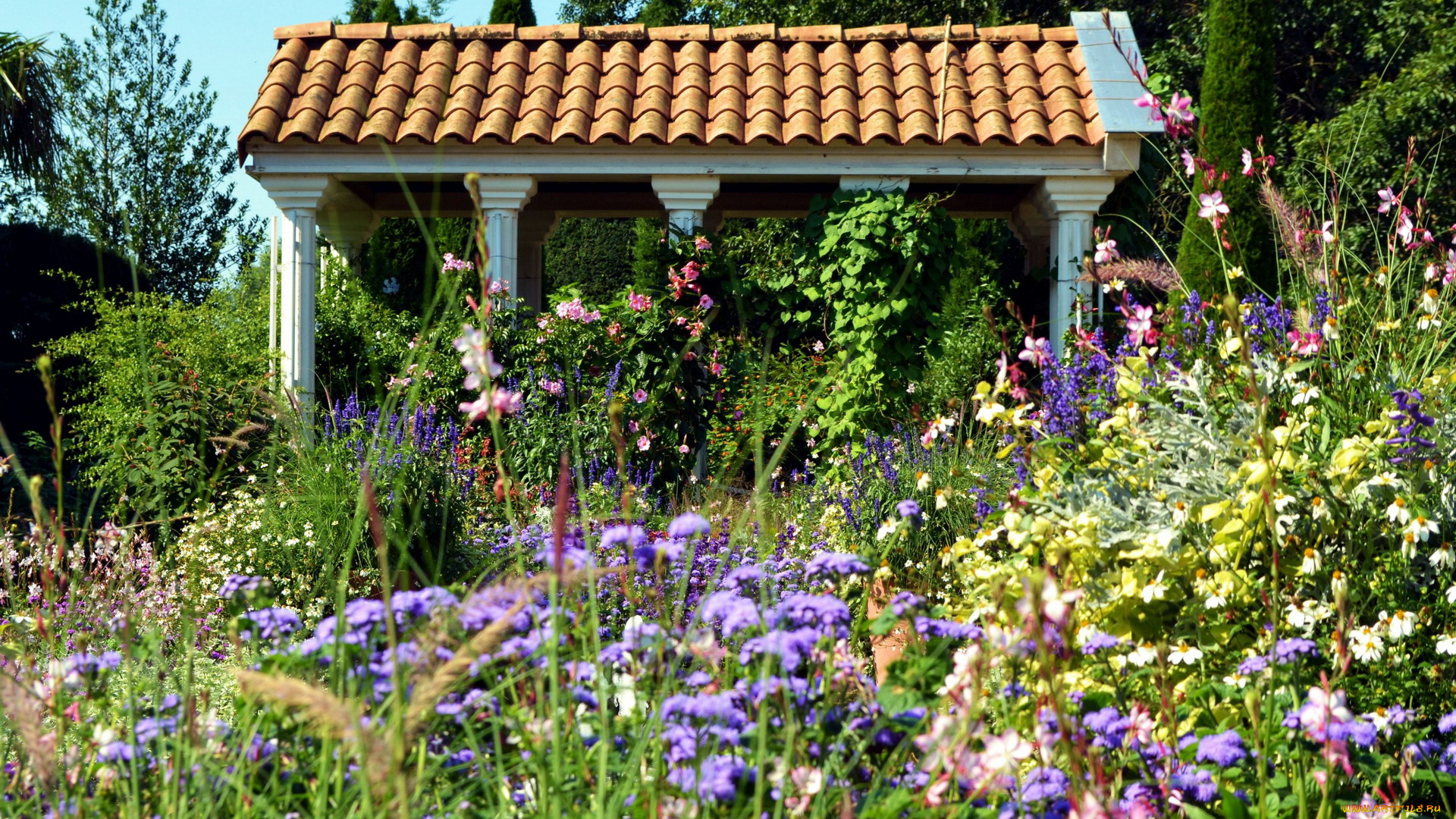 природа, парк, беседка, заросли, цветы