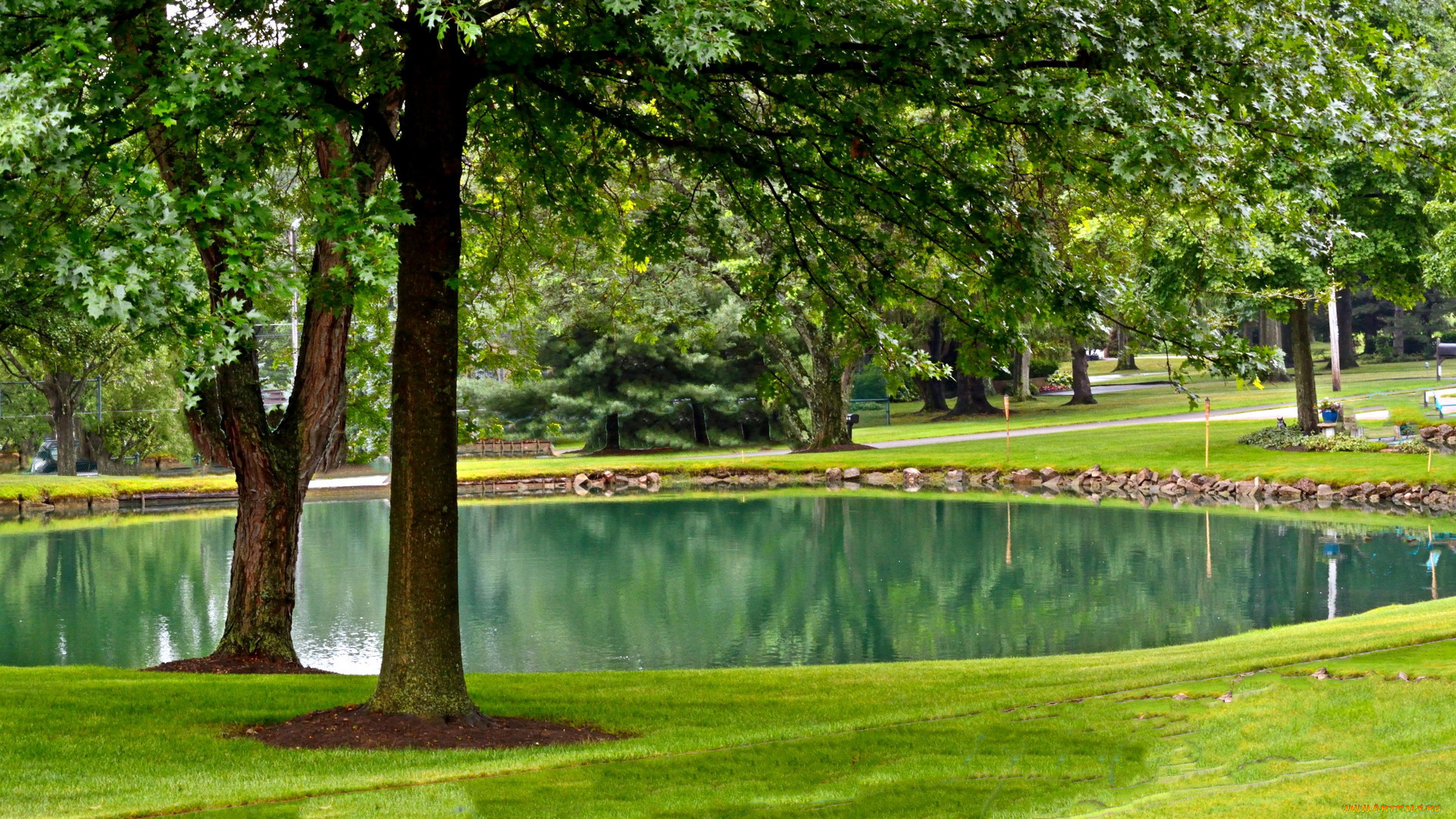 природа, парк, лужайка, деревья, пруд