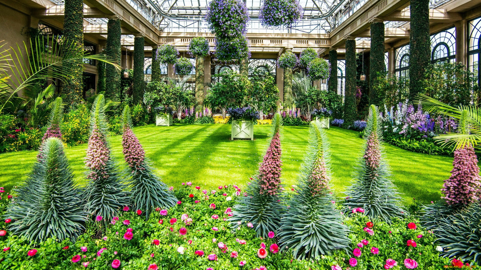 природа, парк, оранжерея