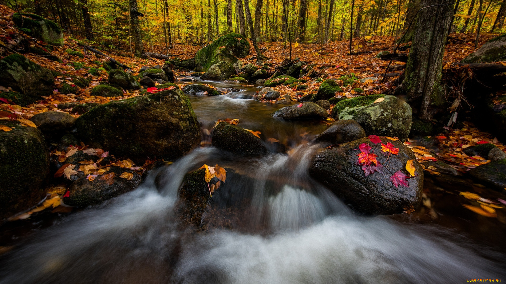 природа, реки, озера, осень, река, деревья, лес