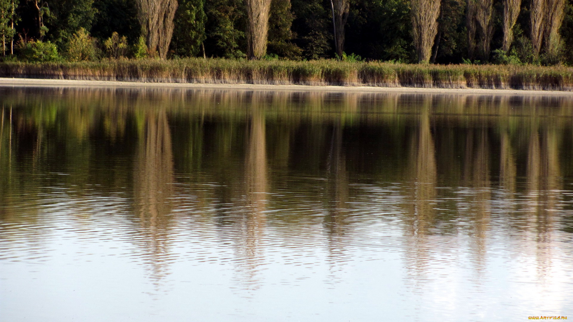 природа, реки, озера, отражение, вода