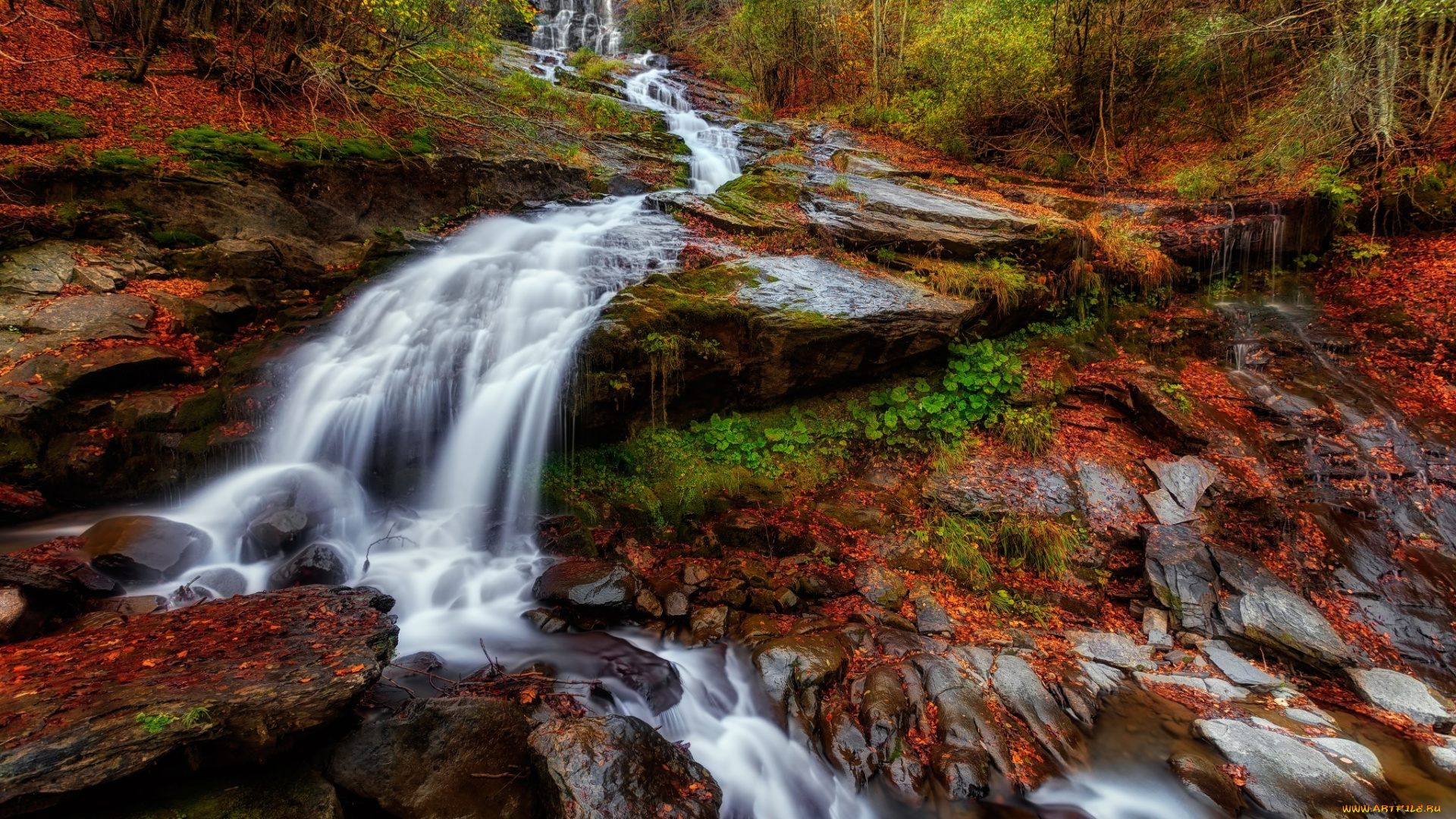 природа, водопады, осень, лес, водопад, листья, река