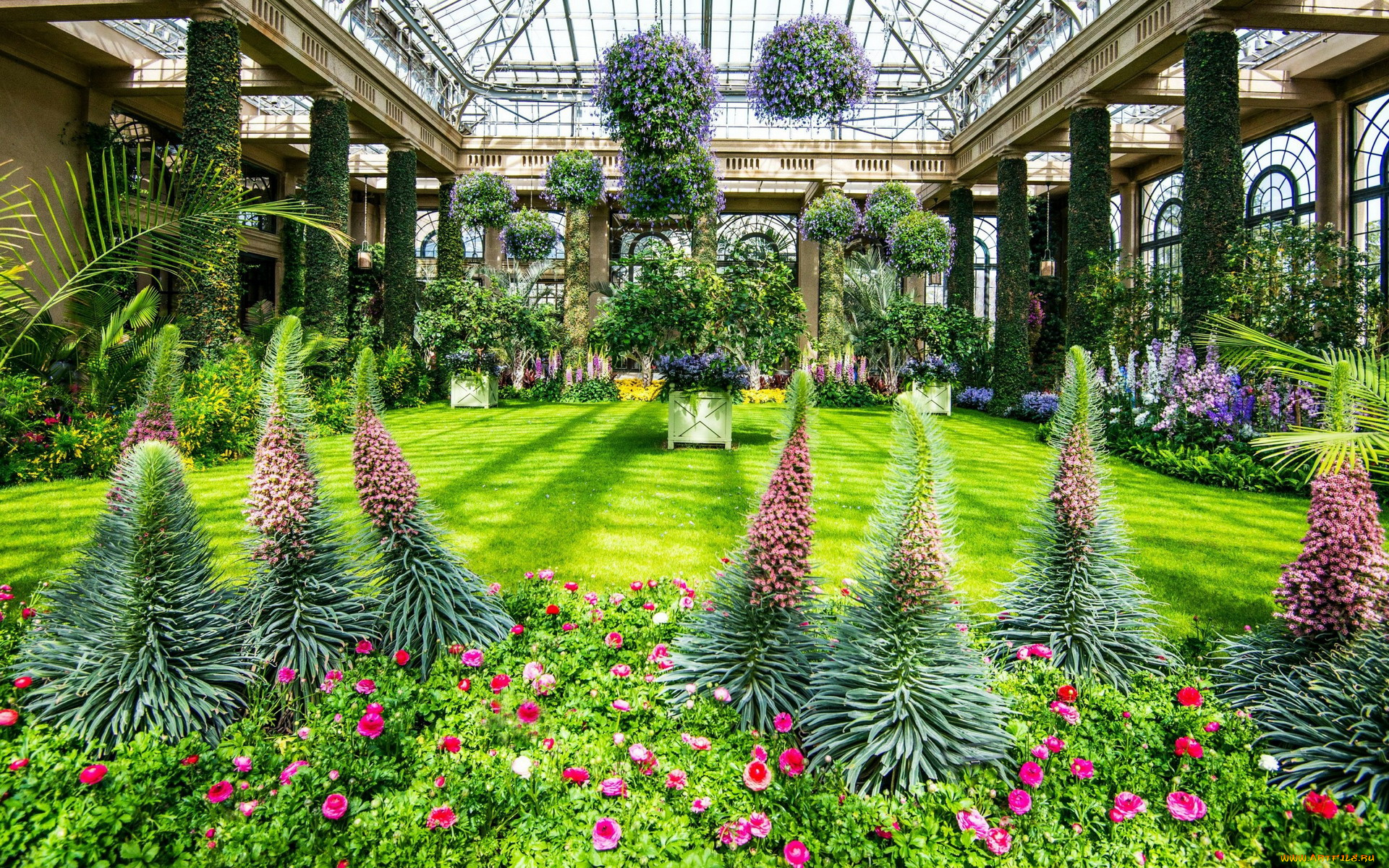 природа, парк, оранжерея