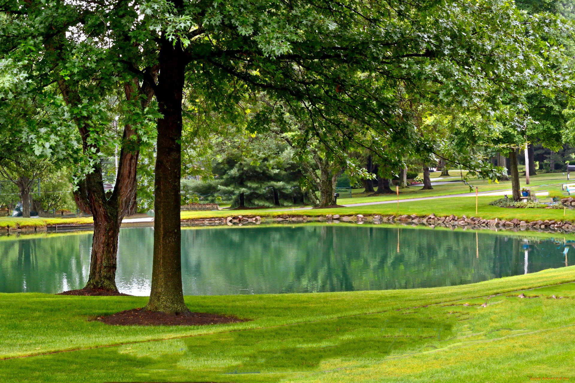 природа, парк, лужайка, деревья, пруд