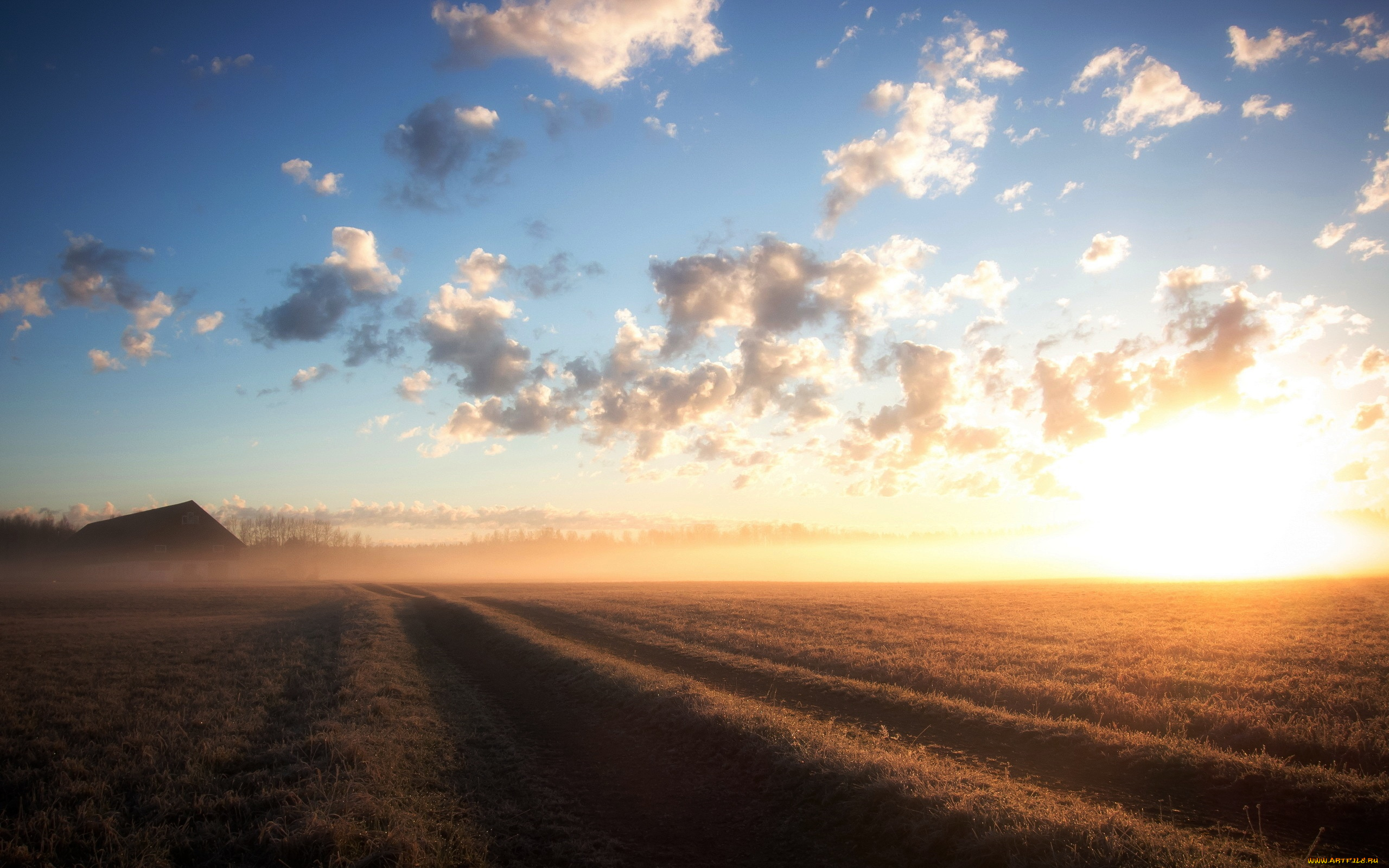 природа, поля, ряды, облака, небо, поле