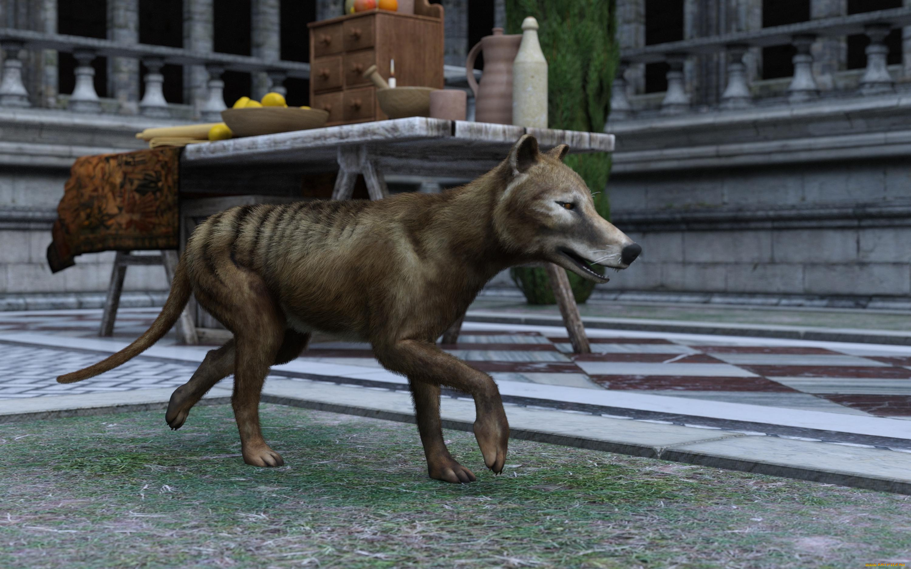 3д, графика, животные, , animals, сумчастый, волк