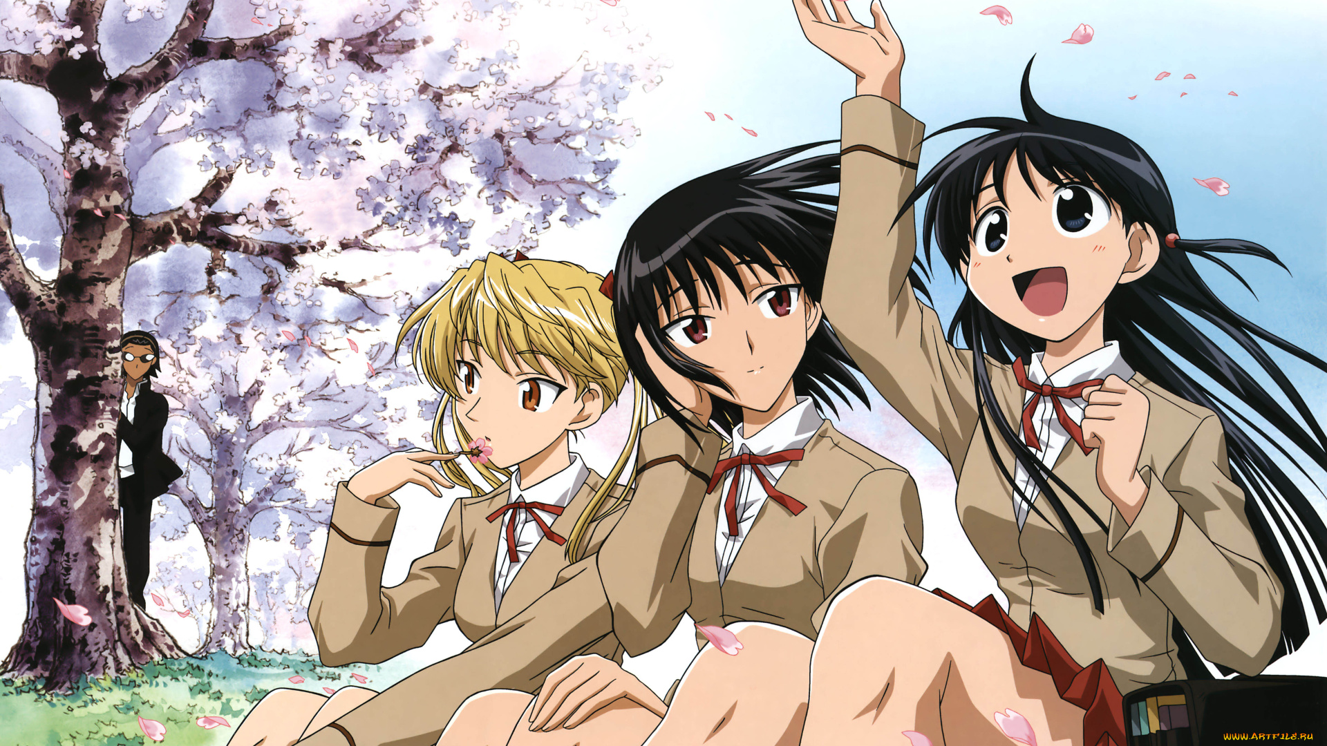 аниме, school, rumble, дерево, цветение, весна, сакура, наблюдение, парень, девушки