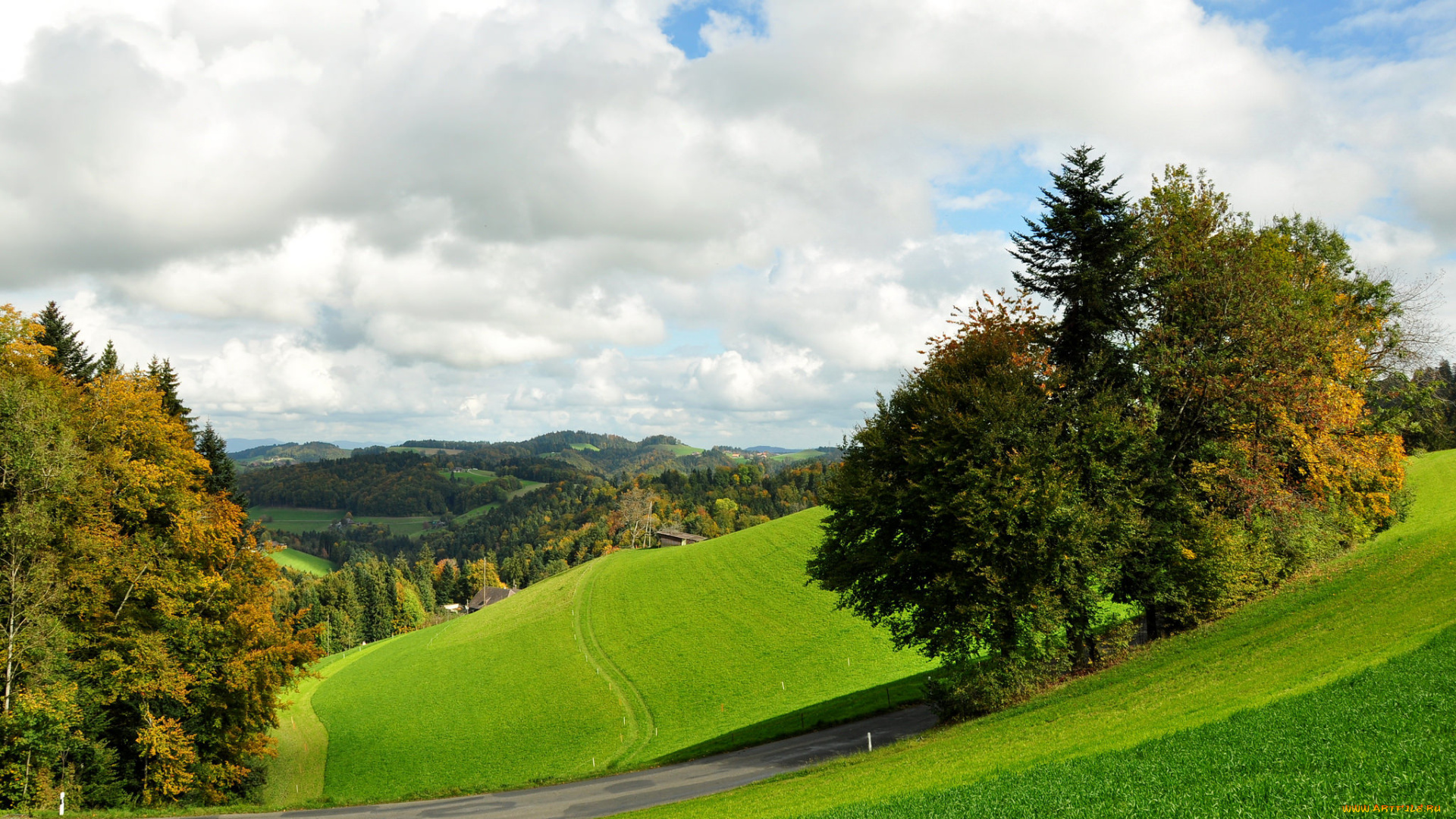 природа, пейзажи, поле, лес, деревья