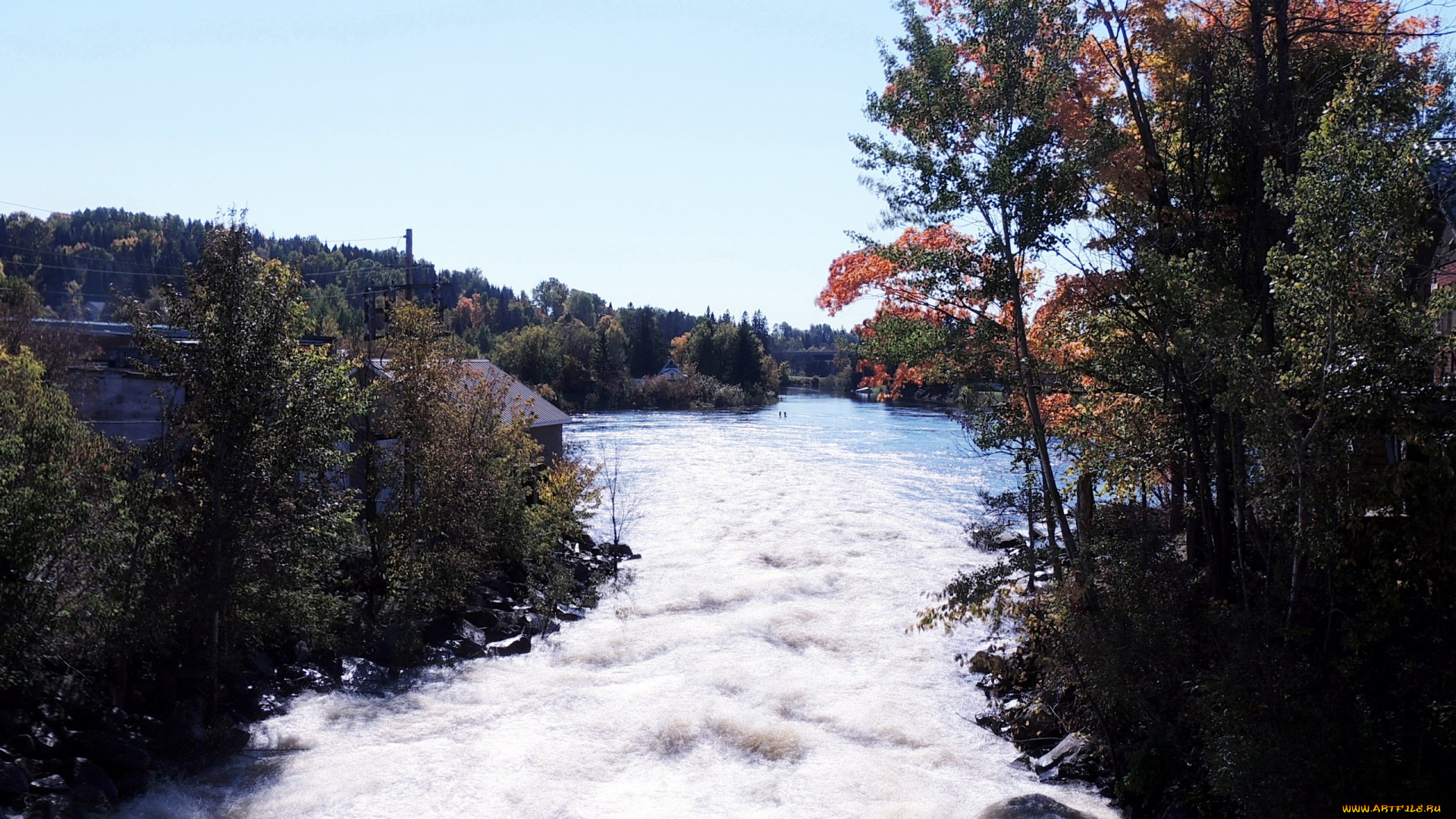 природа, реки, озера, река, бурная