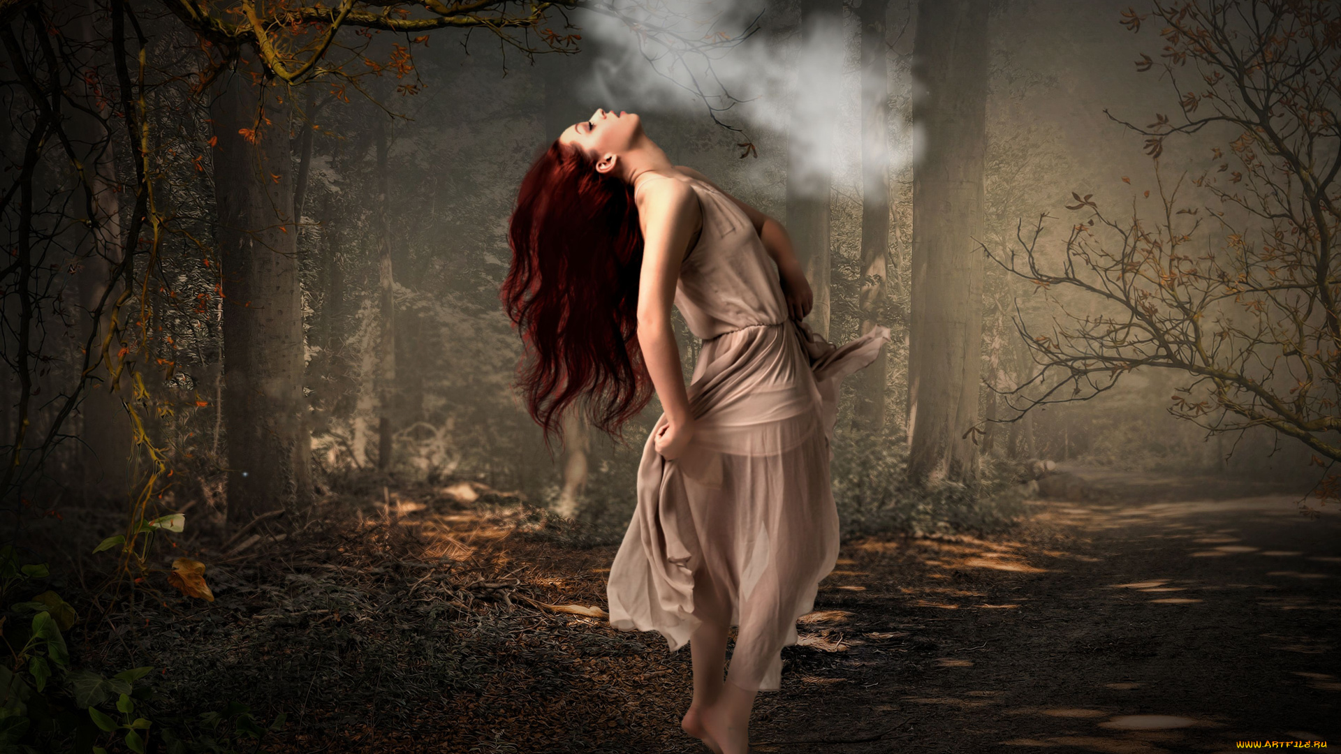 разное, компьютерный, дизайн, лес, девушка, фон