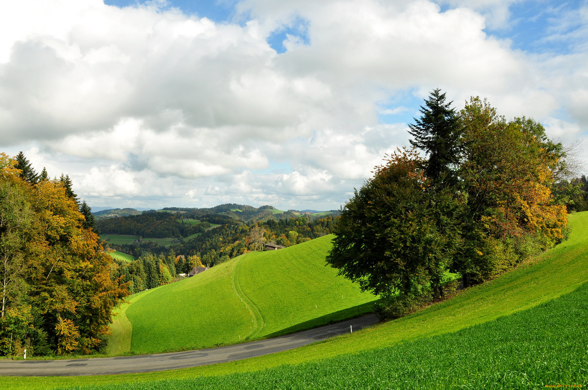 природа, пейзажи, поле, лес, деревья