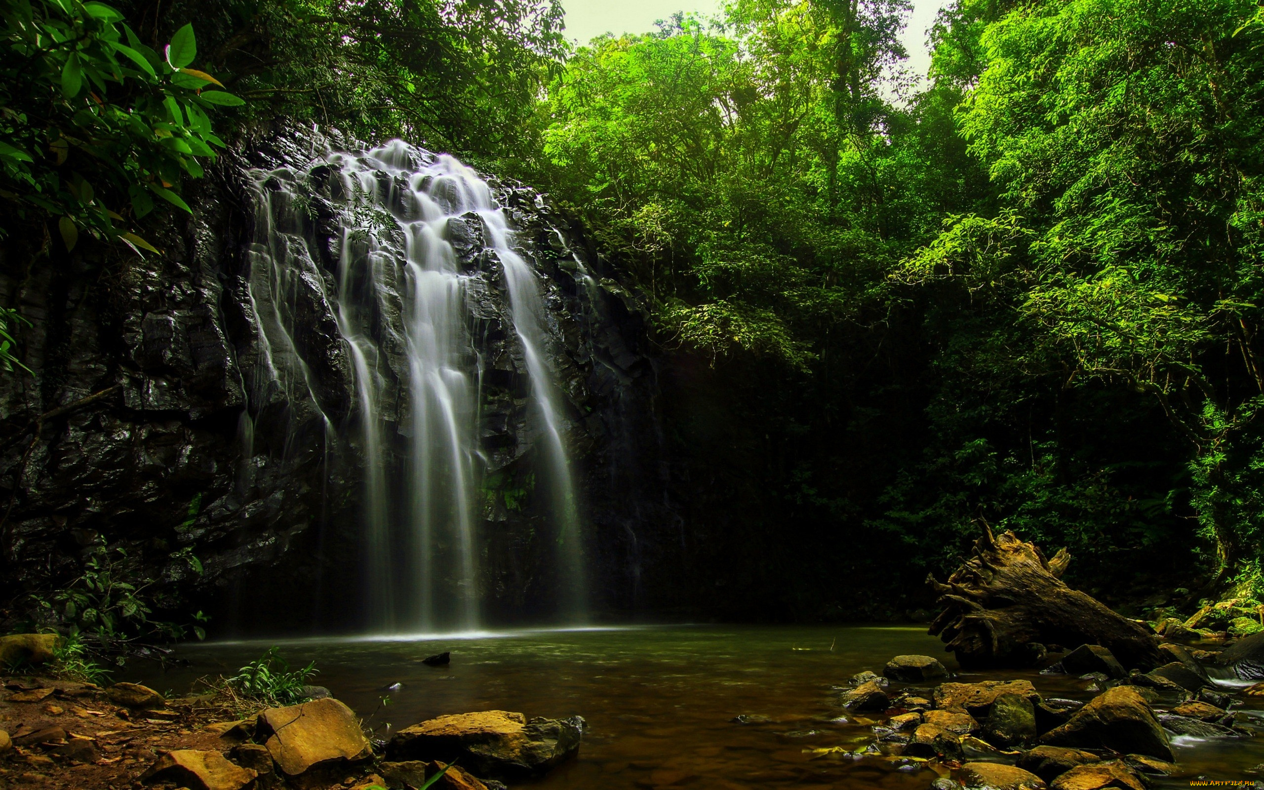 природа, водопады, поток, скала