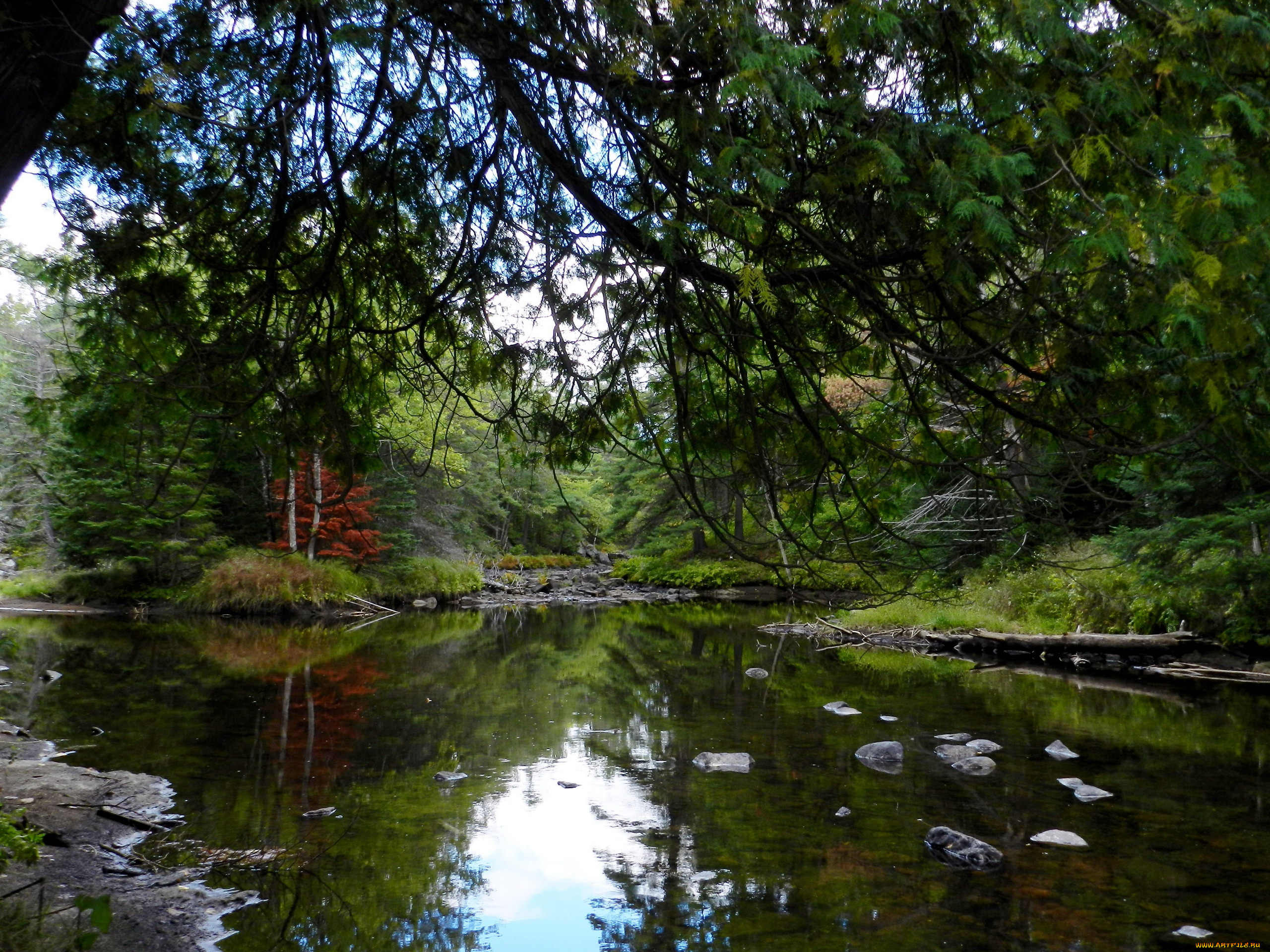 природа, реки, озера, река, камни, отражение