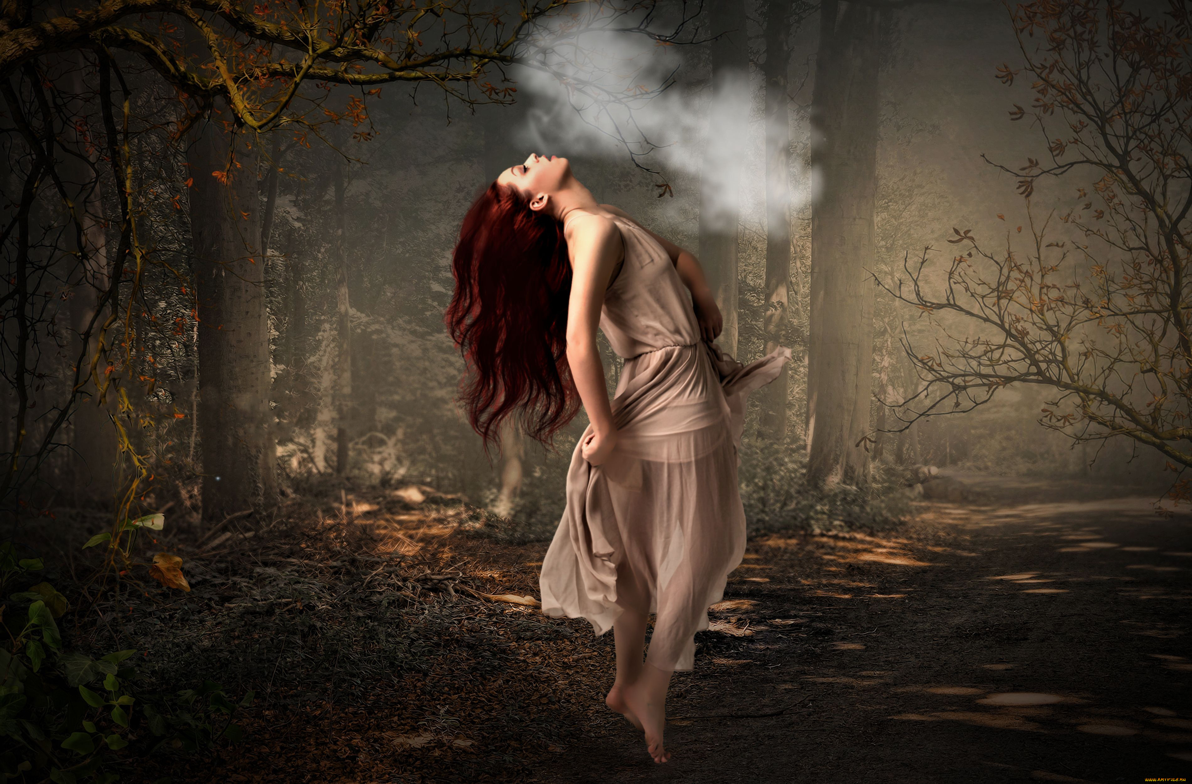разное, компьютерный, дизайн, лес, девушка, фон