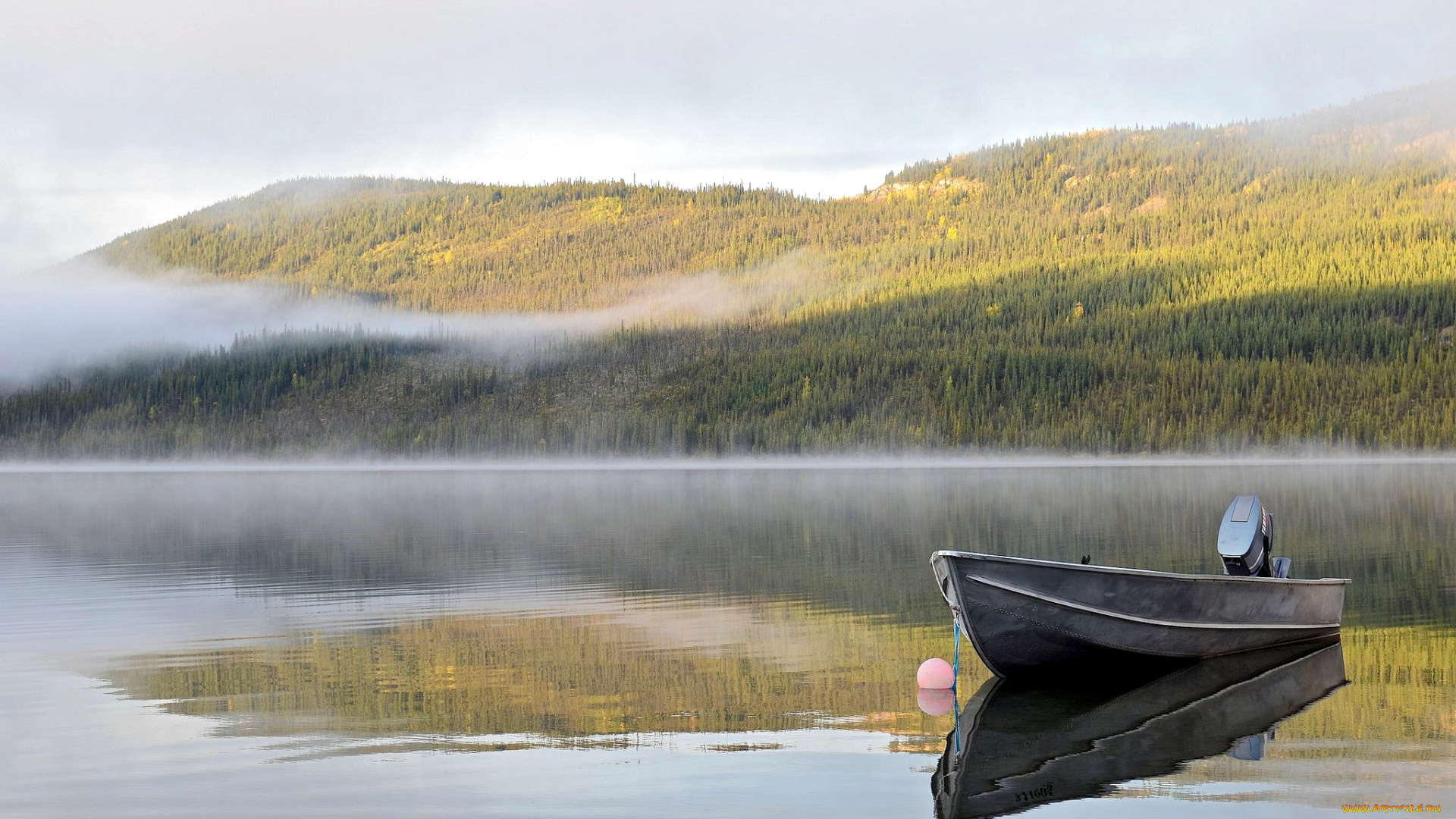 корабли, моторные, лодки, туман, лодка, утро