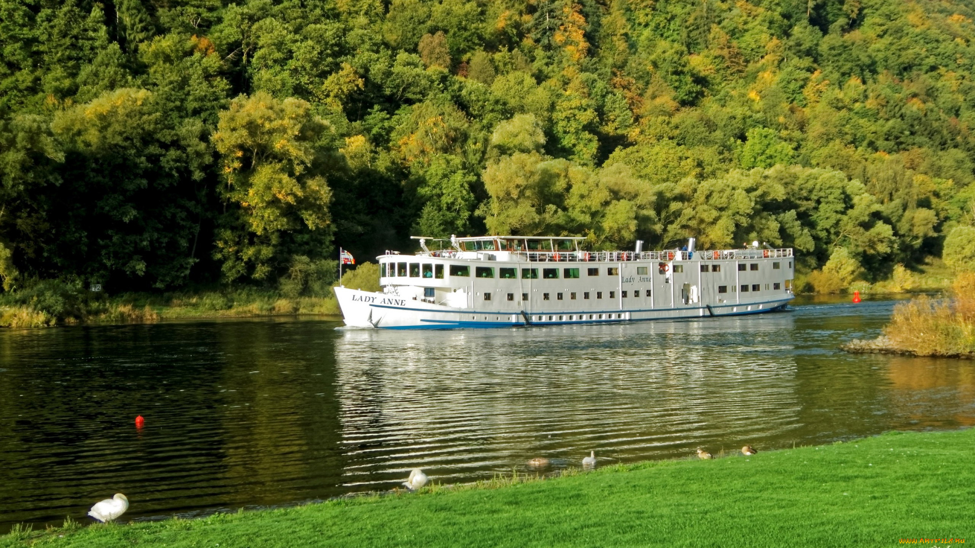 корабли, теплоходы, теплоход, прогулочный