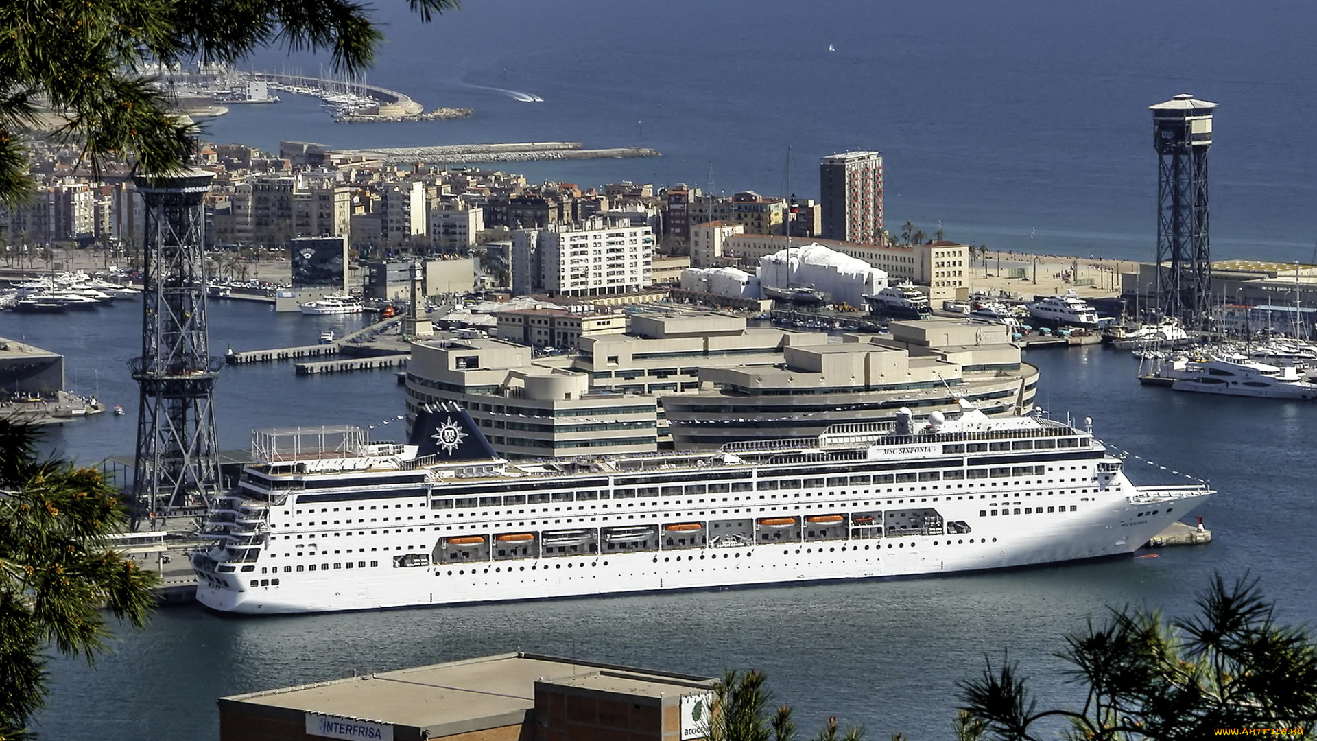 msc, sinfonia, корабли, лайнеры, лайнер, круиз