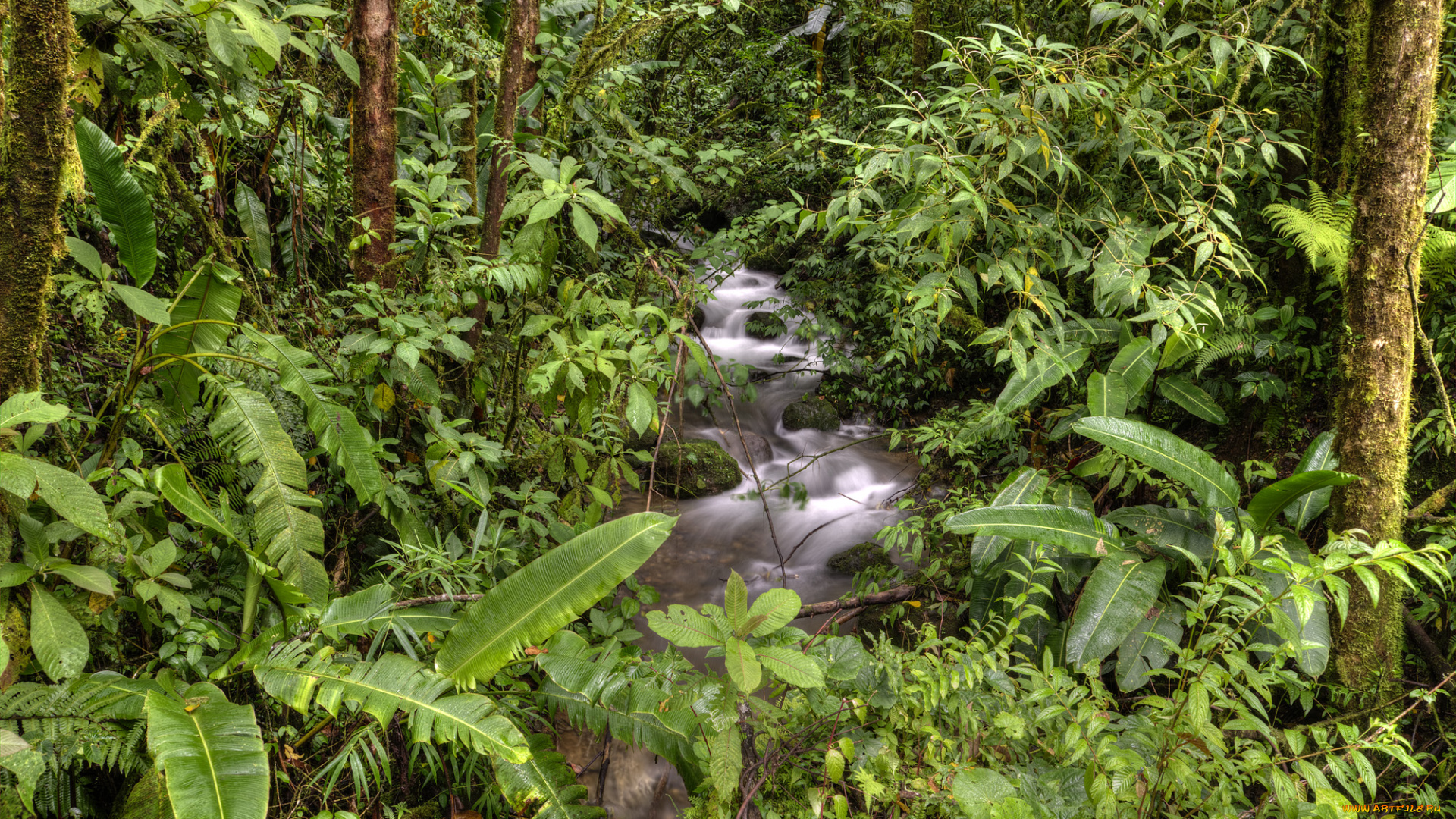 природа, реки, озера, простор