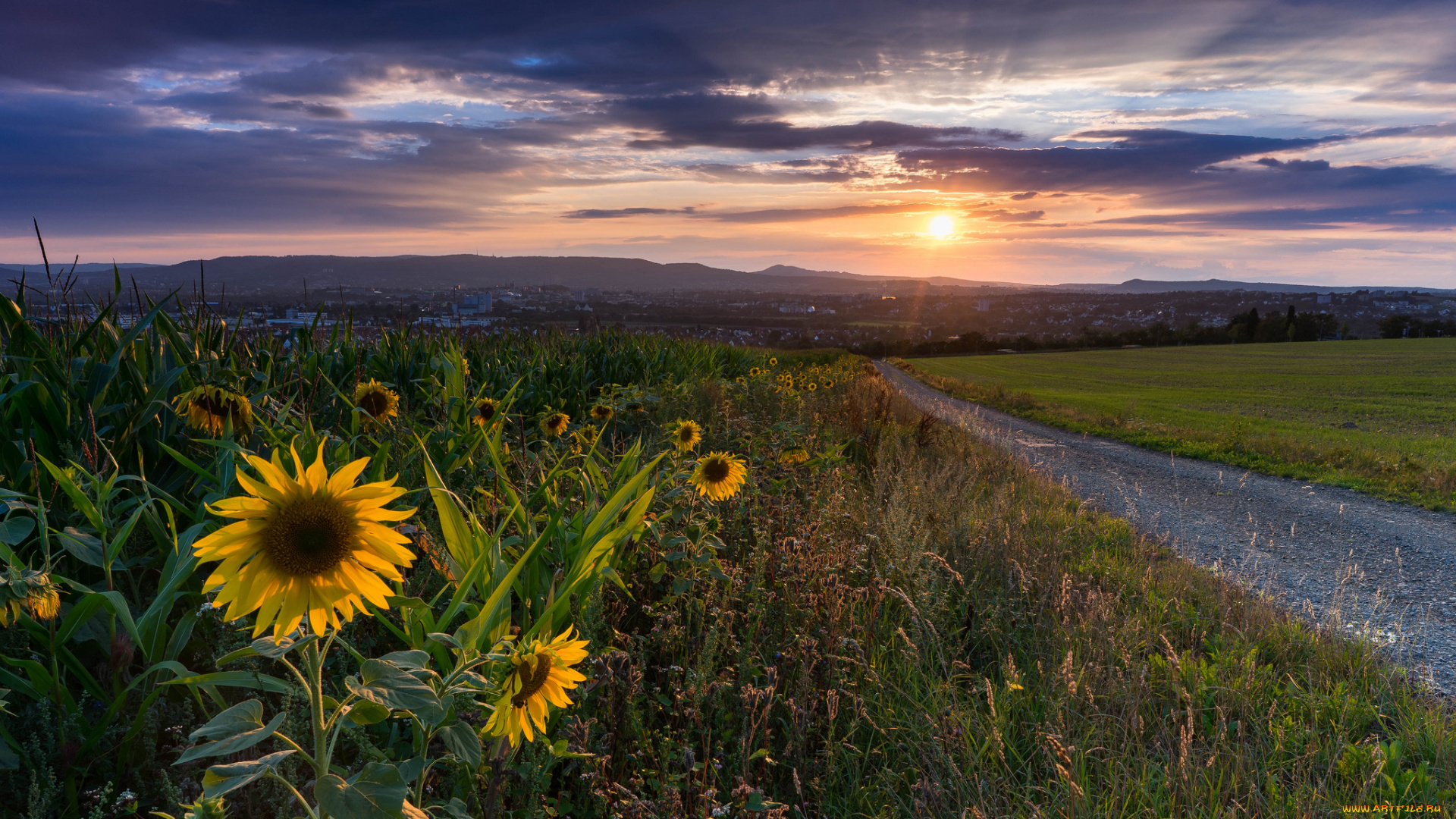 природа, восходы, закаты, простор