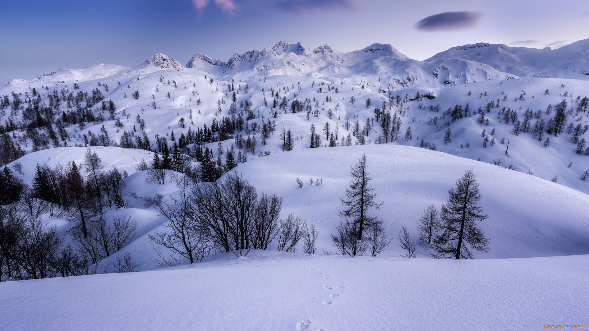 природа, зима, простор