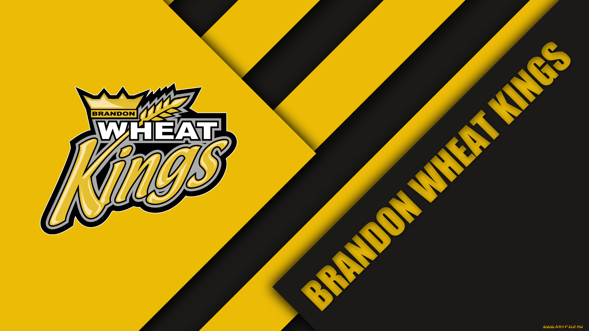 спорт, эмблемы, клубов, логотип, линии, фон, полосы, цвета