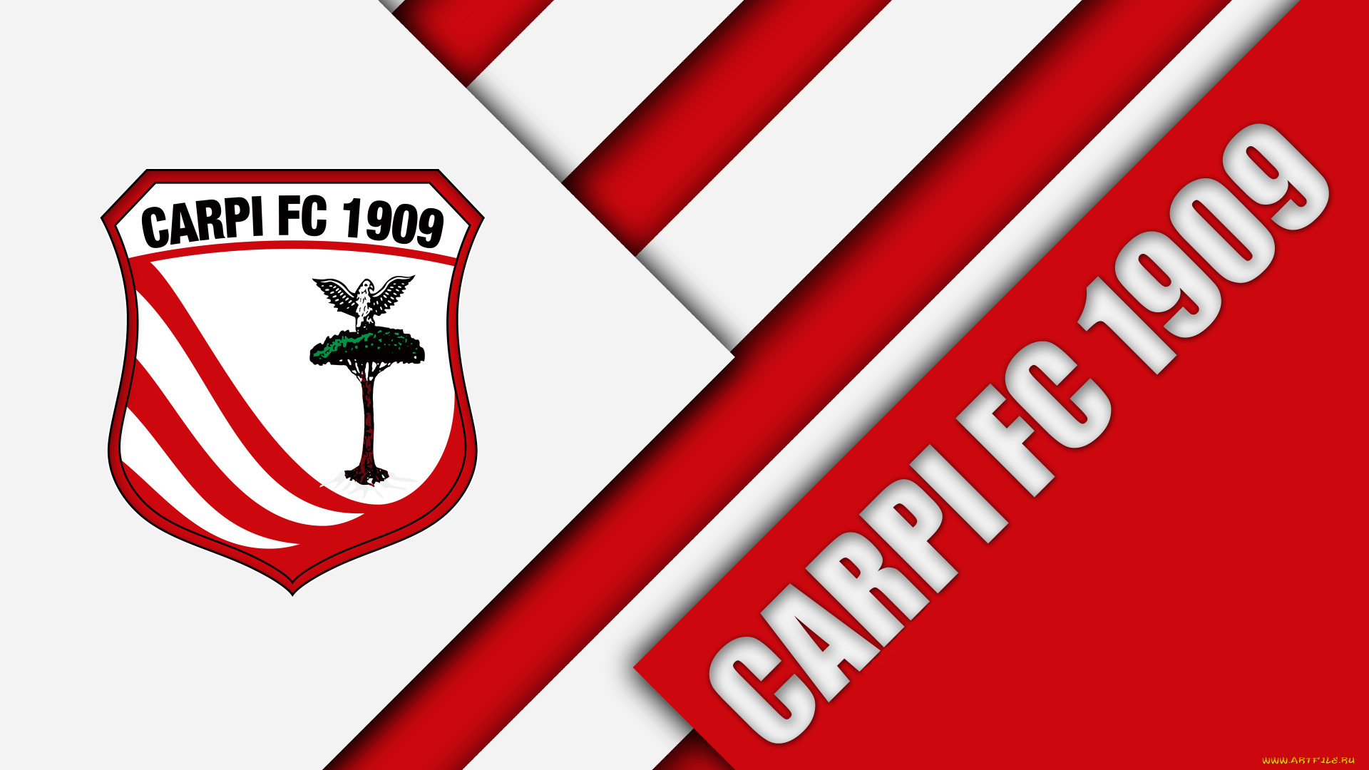 спорт, эмблемы, клубов, полосы, цвета, линии, фон, логотип