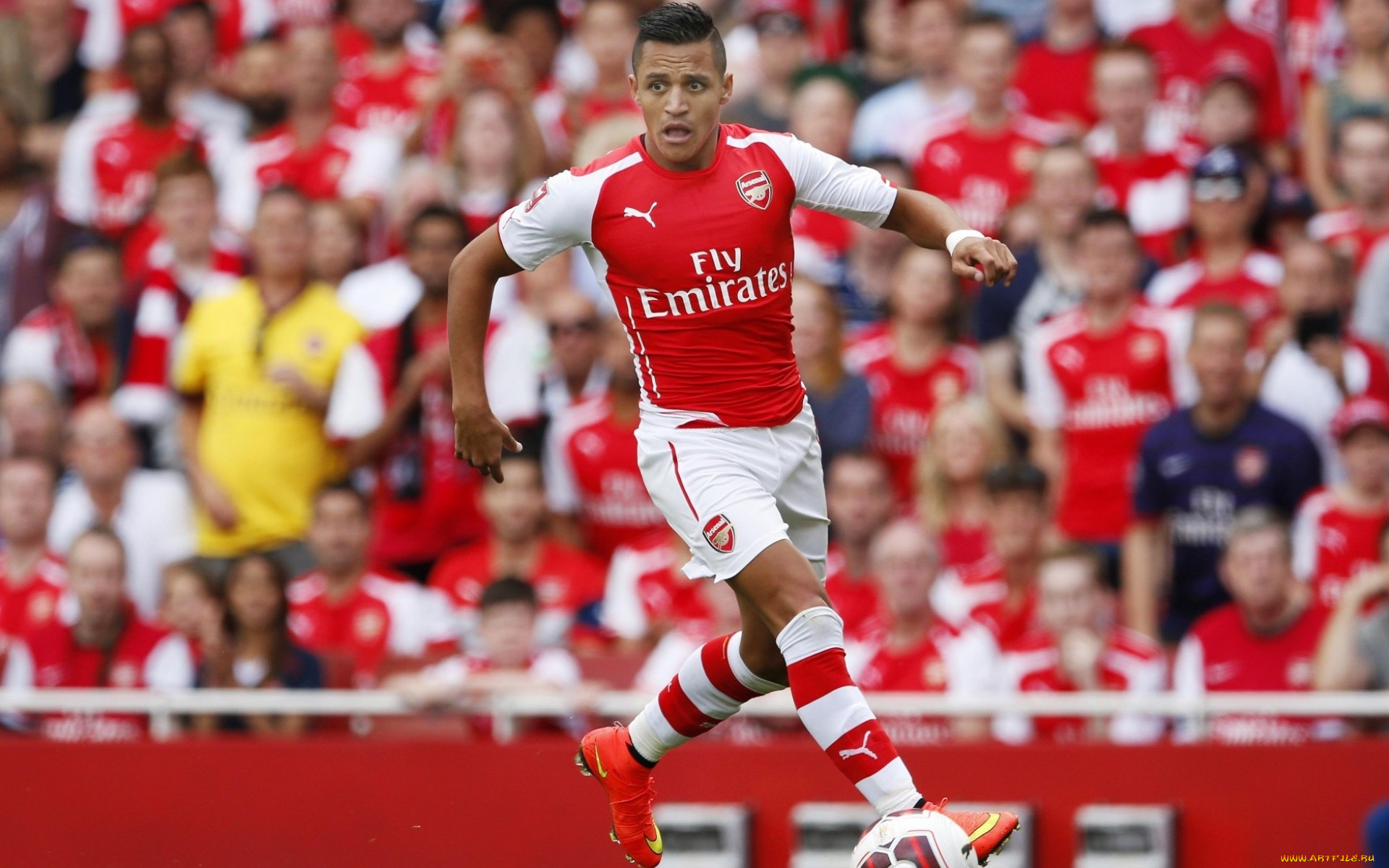 спорт, футбол