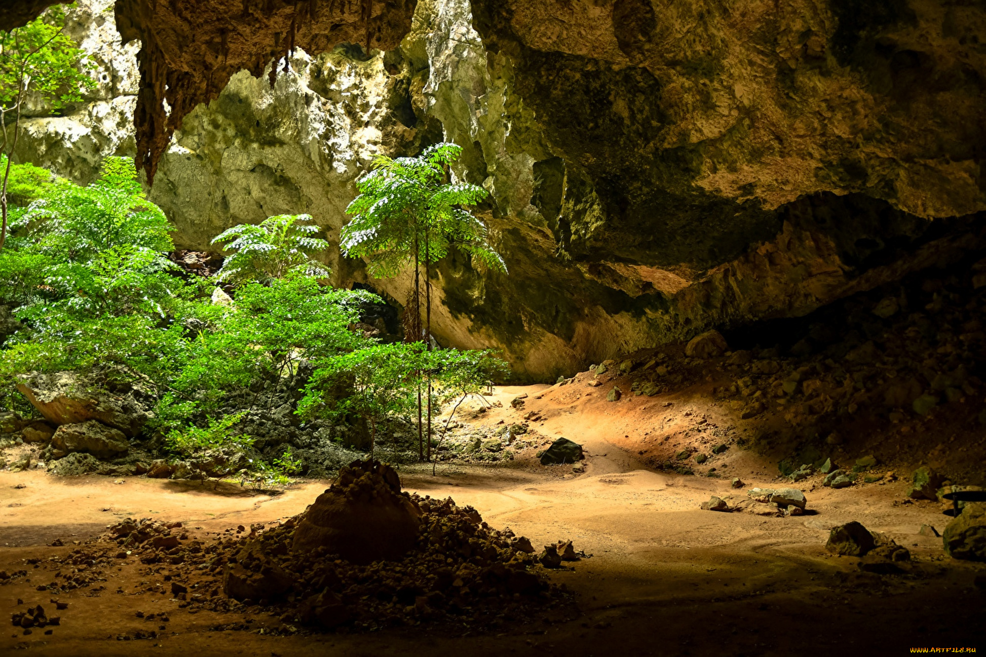 природа, горы, кустарник, пещера
