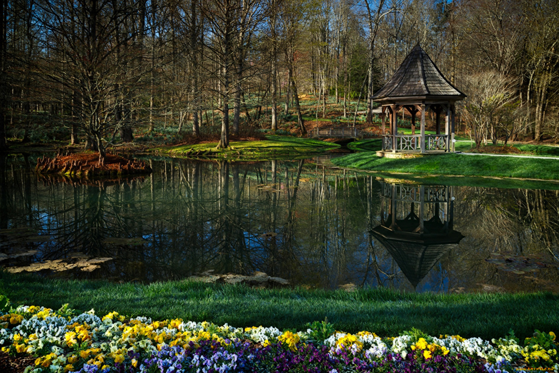природа, парк, лес, озеро, беседка, водоем