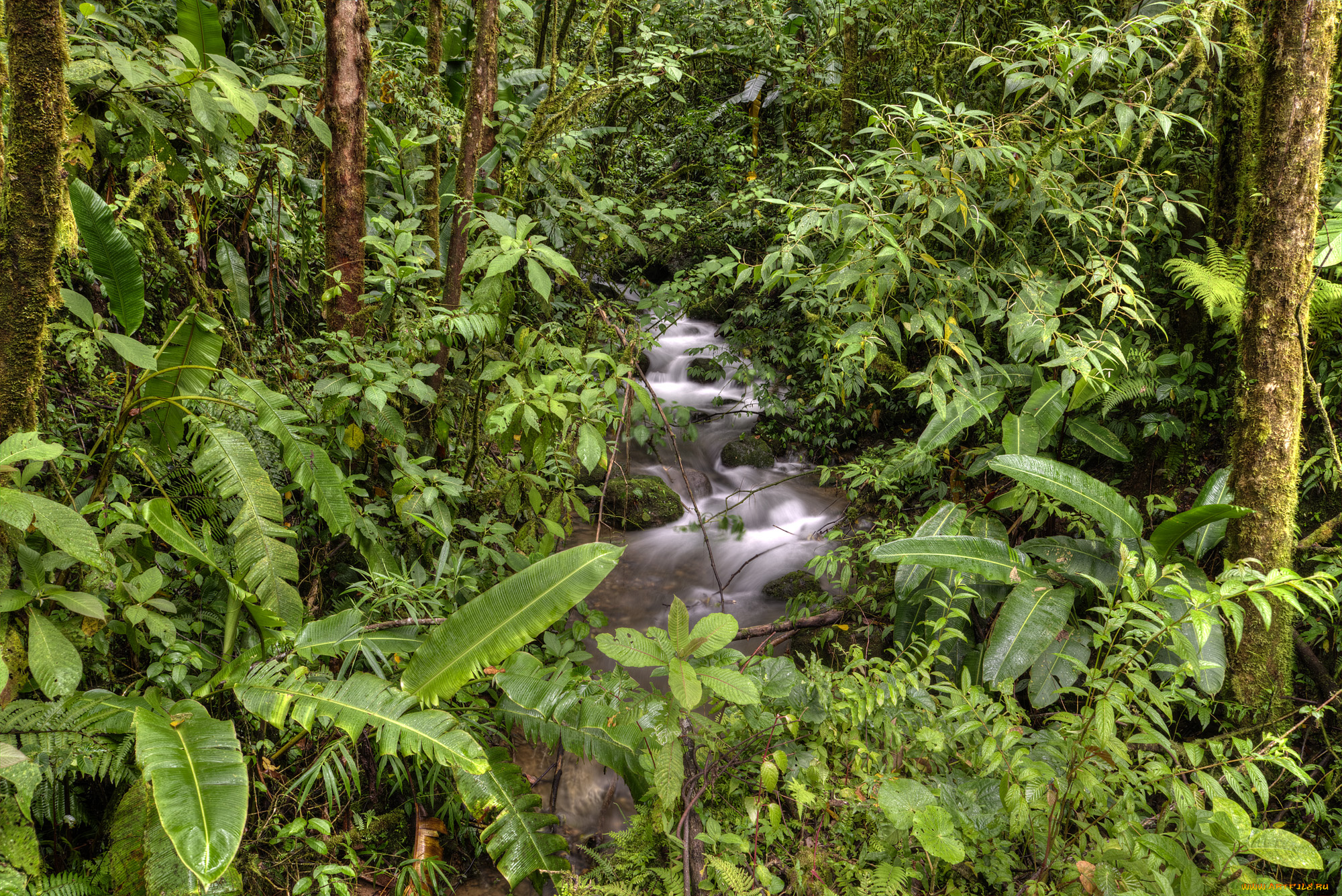 природа, реки, озера, простор