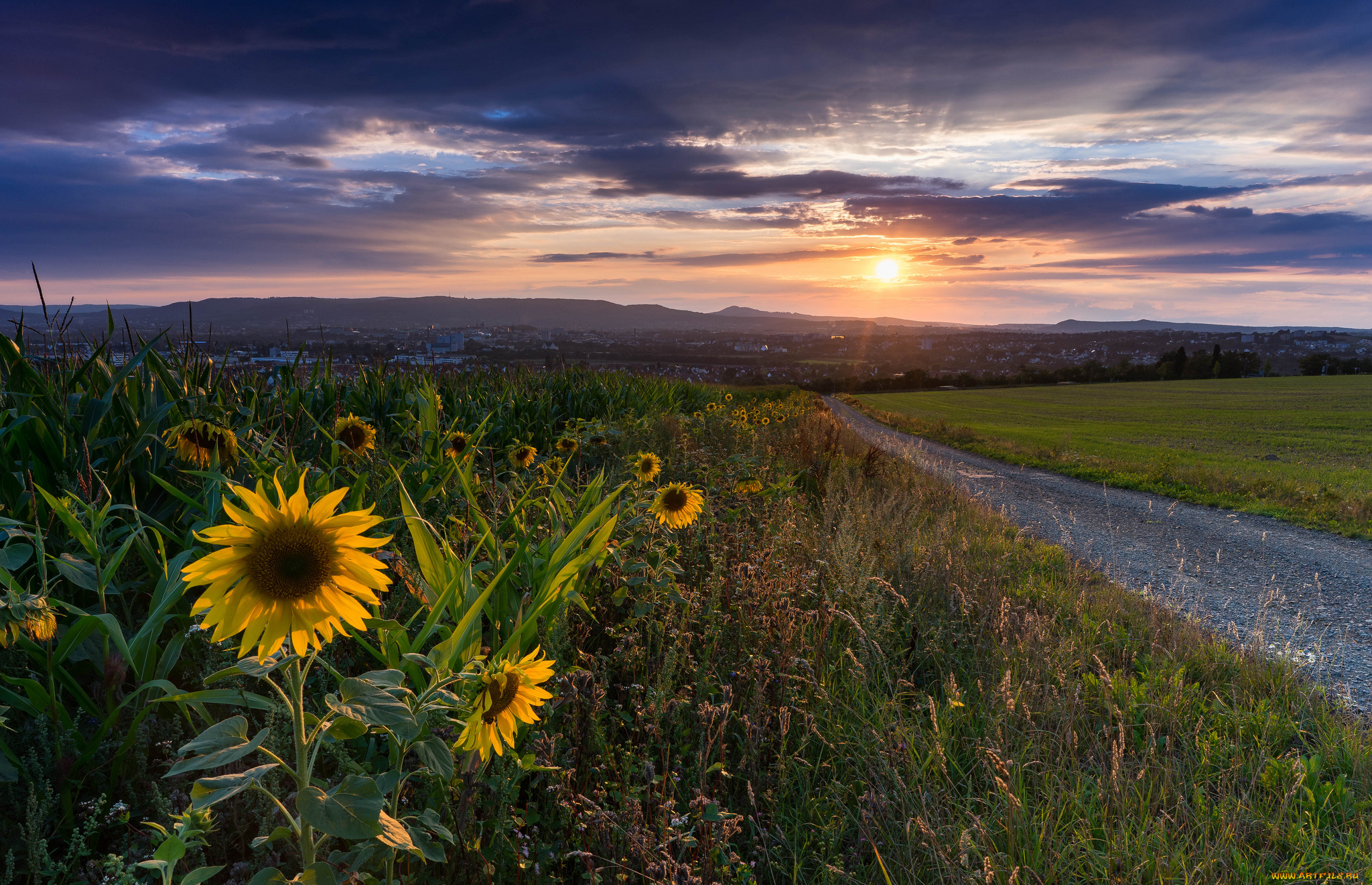 природа, восходы, закаты, простор