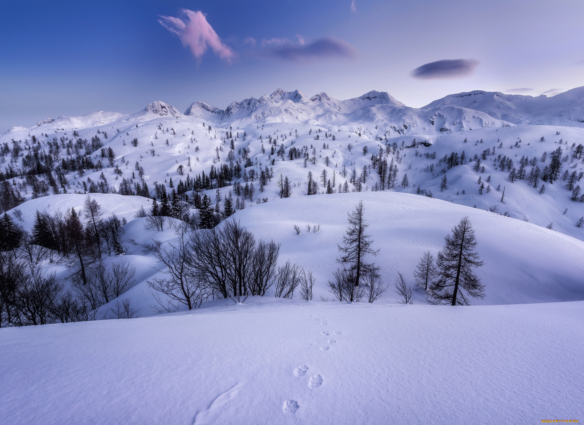 природа, зима, простор