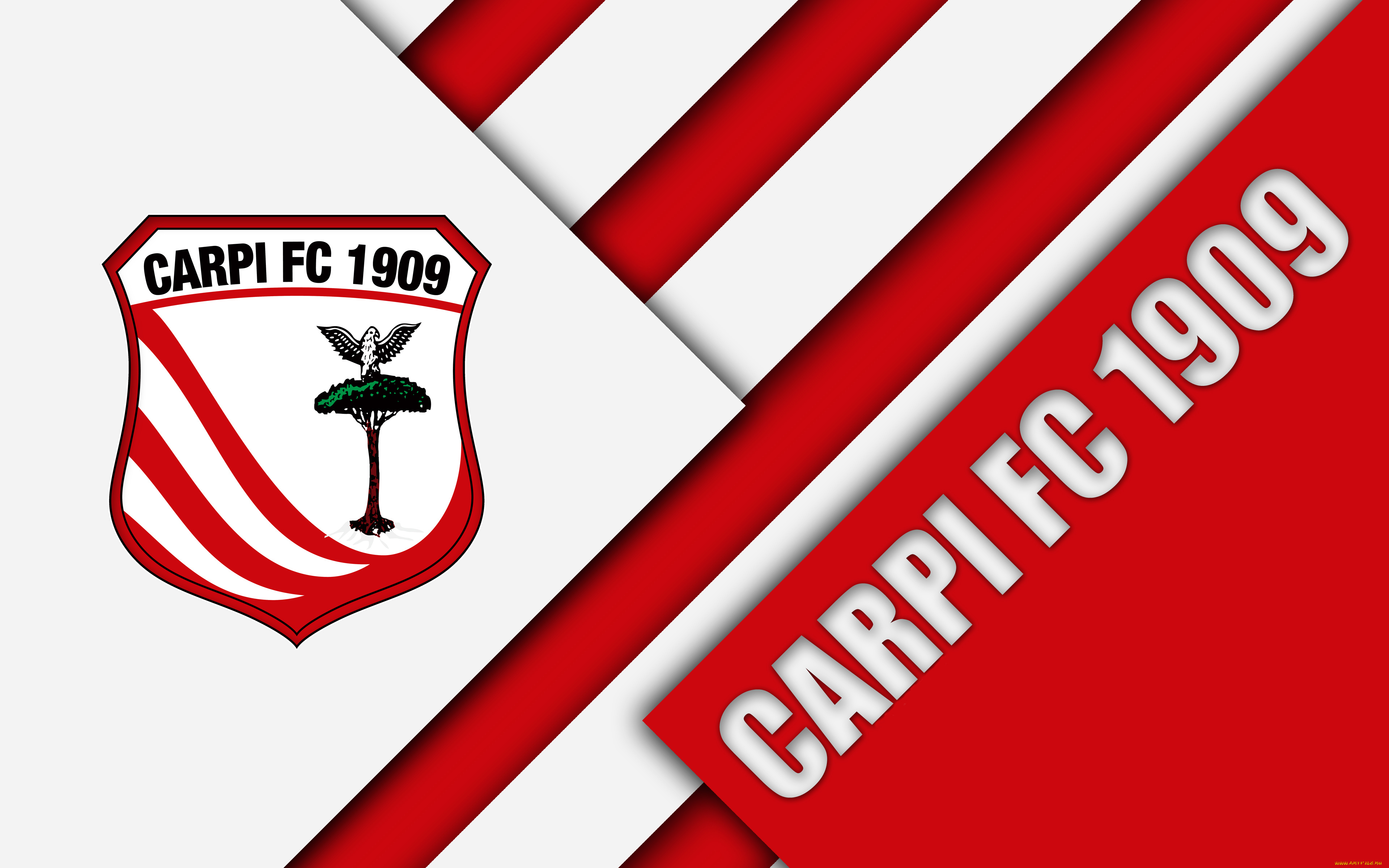 спорт, эмблемы, клубов, полосы, цвета, линии, фон, логотип