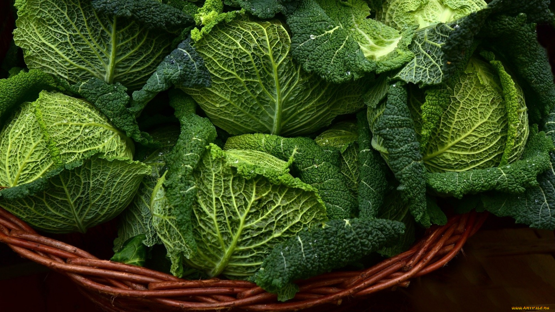 еда, капуста, и, её, разновидности, савойская, капуста, кочаны