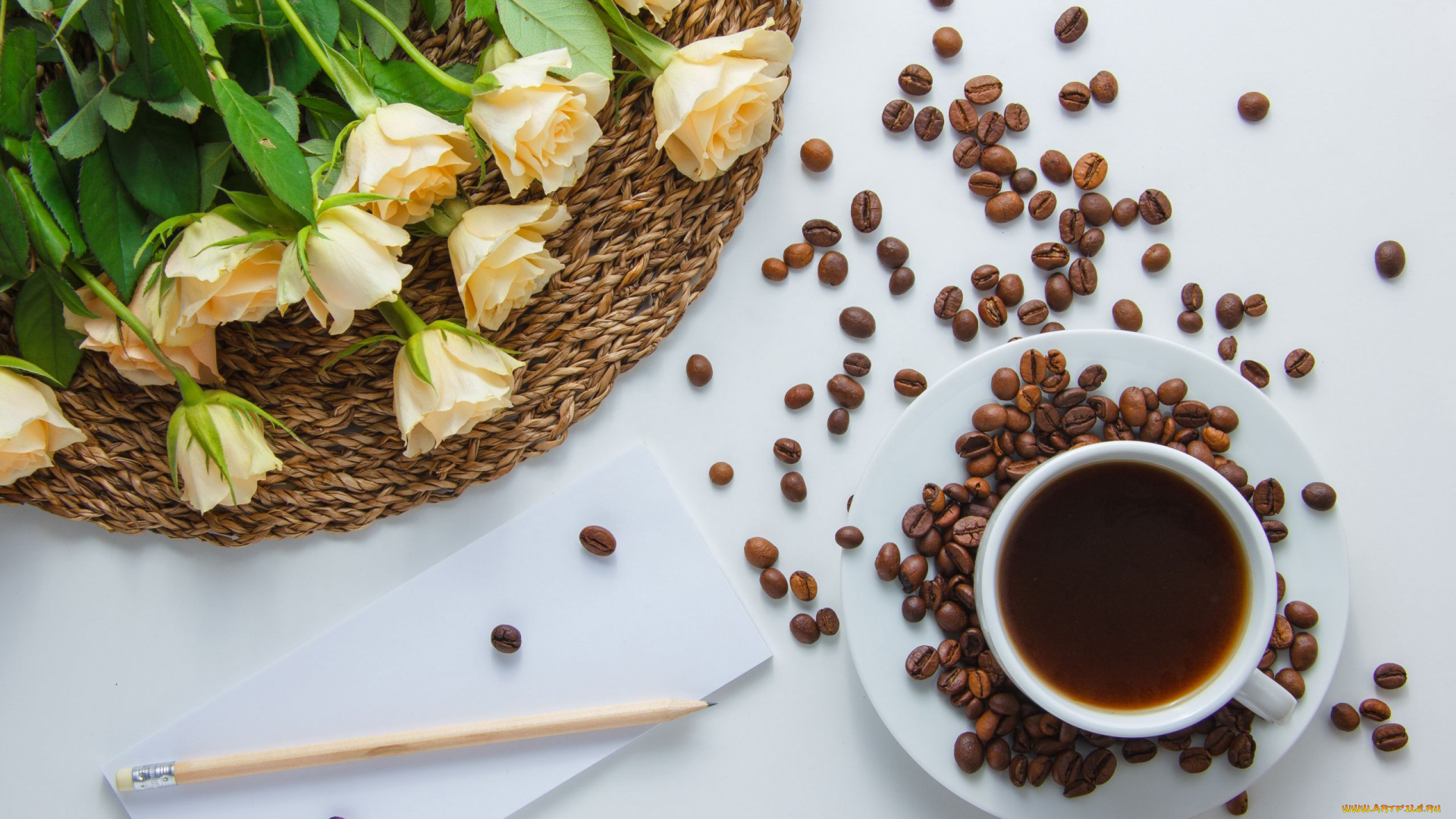 еда, кофе, , кофейные, зёрна, розы, зерна, бутоны