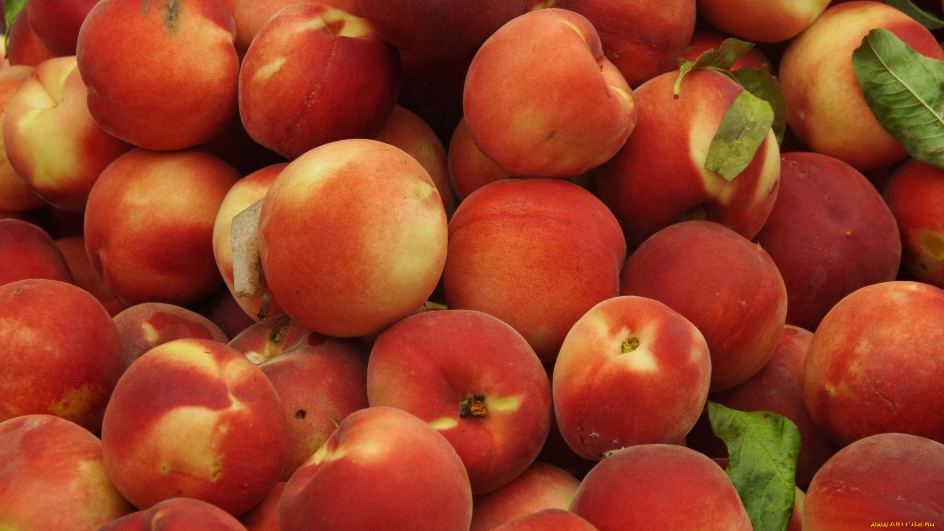 еда, персики, , сливы, , абрикосы