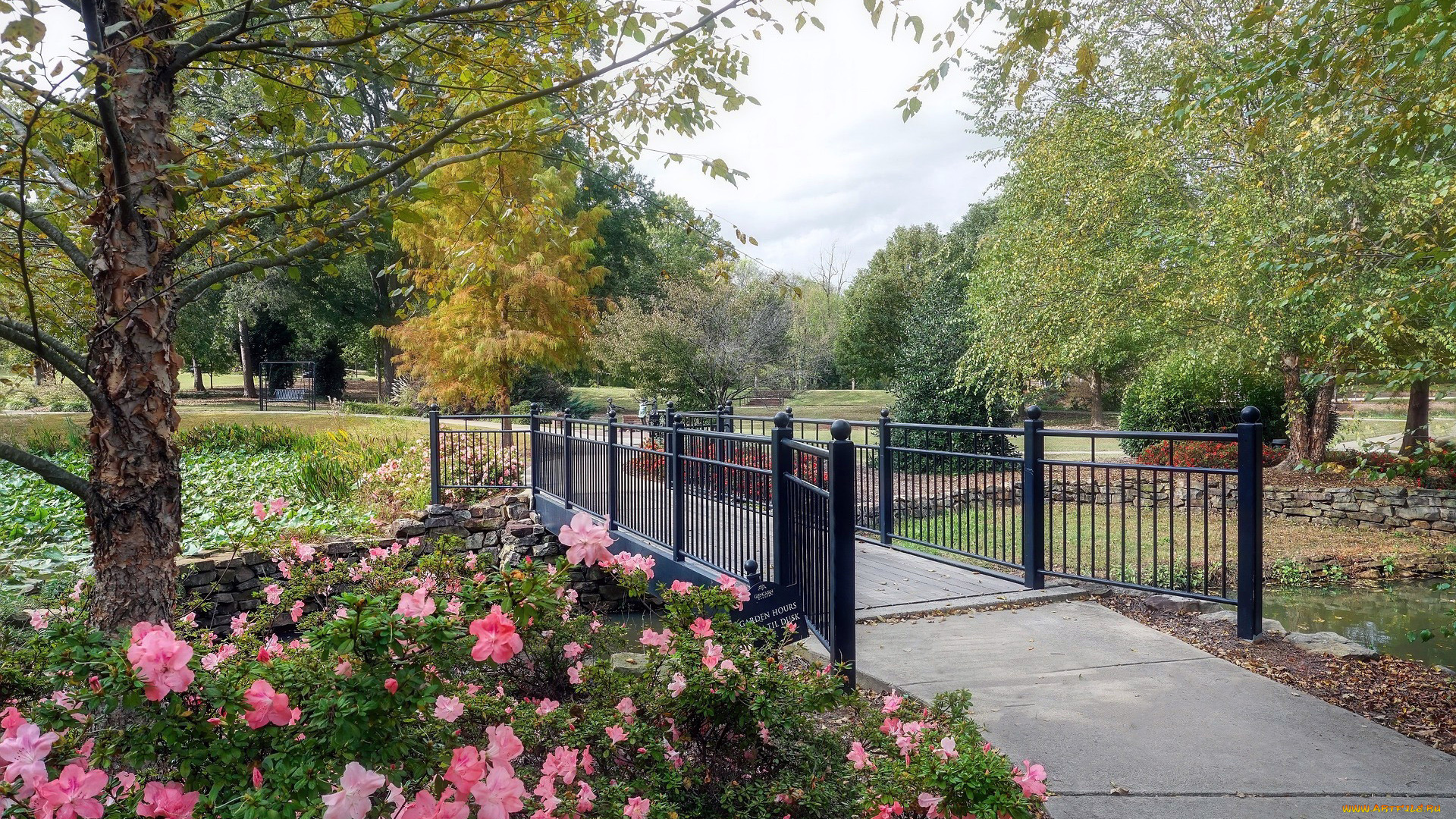 природа, парк, аллея, клумба