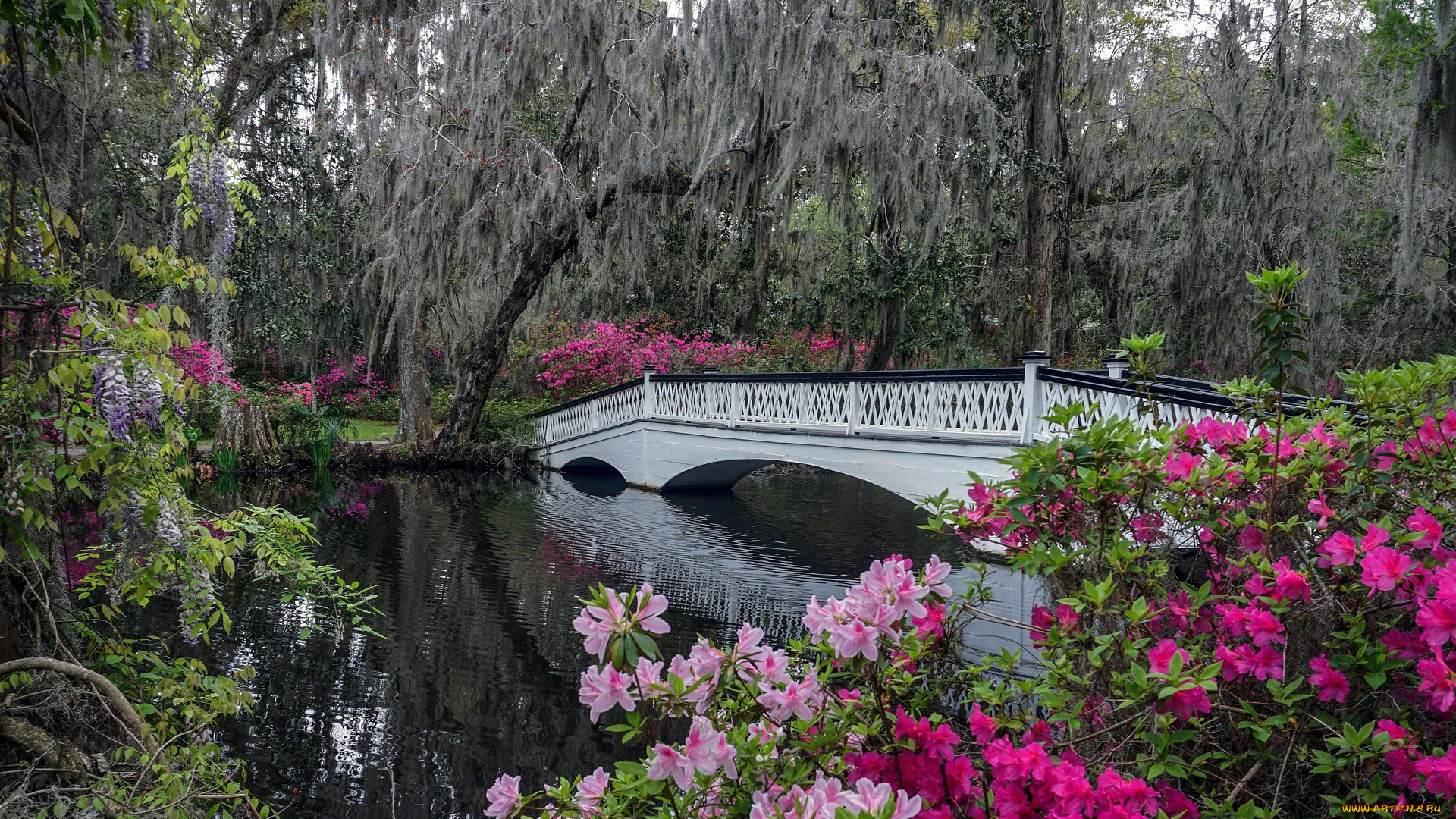 природа, парк, водоем, мостик