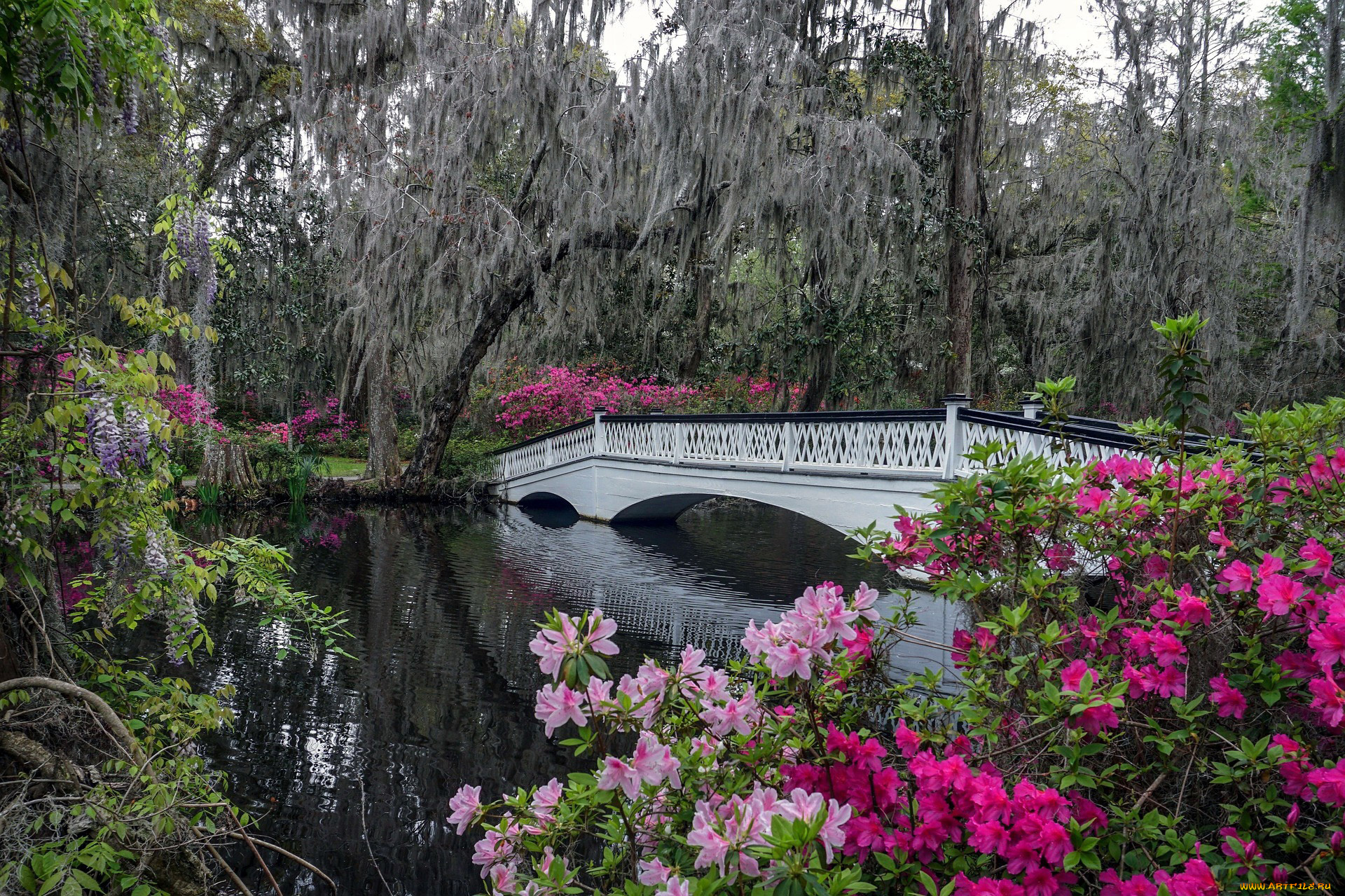 природа, парк, водоем, мостик