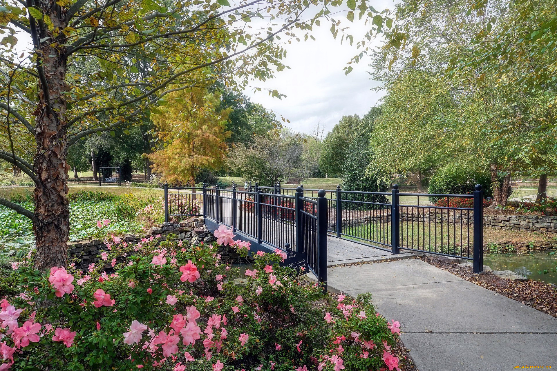 природа, парк, аллея, клумба