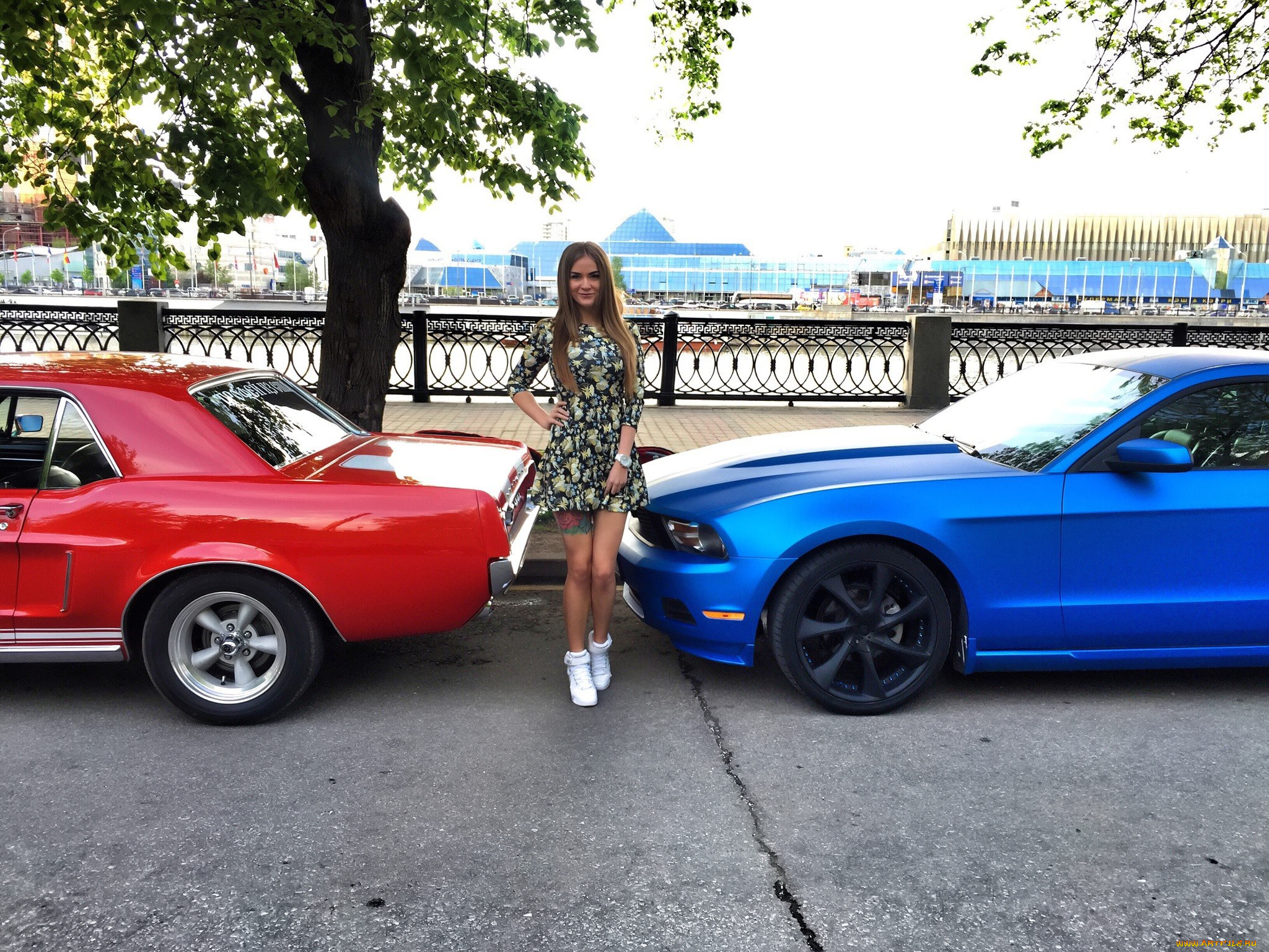 автомобили, -авто, с, девушками, софья, темникова, sofia, temnikova