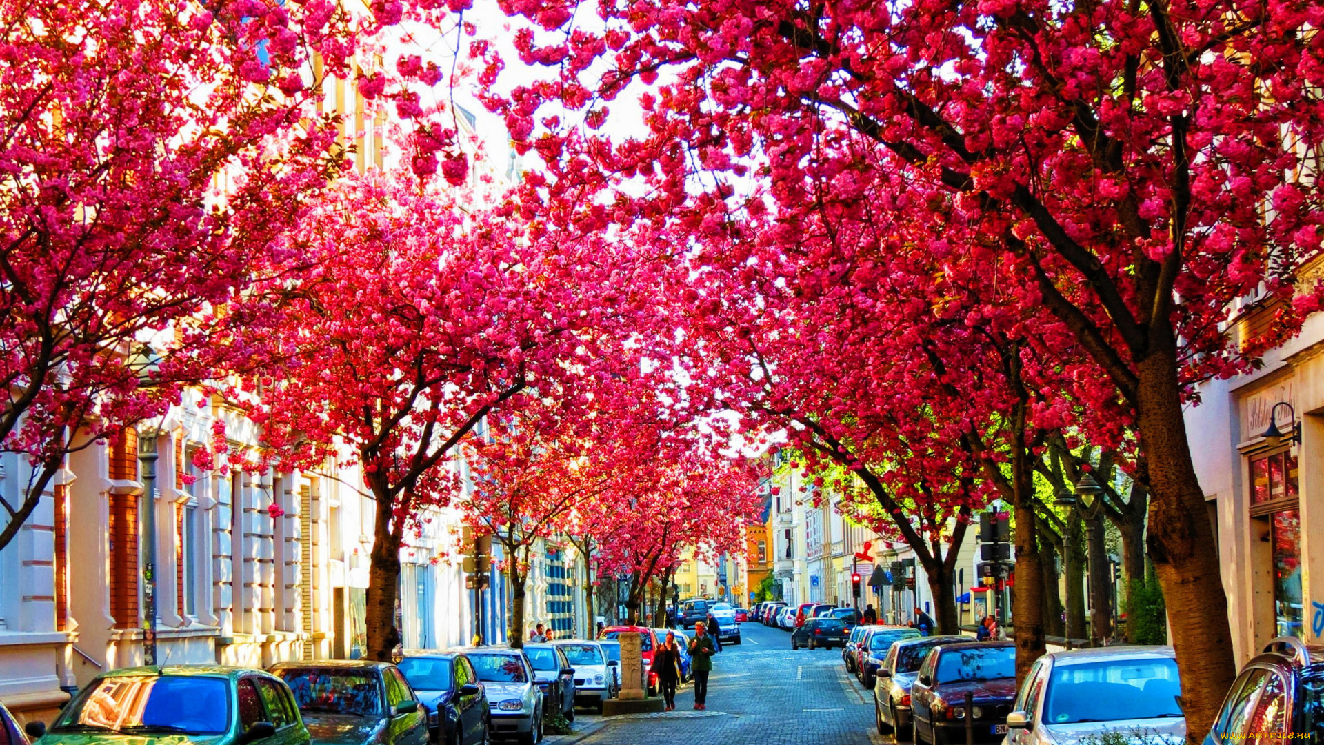 bonn, germany, города, -, улицы, , площади, , набережные