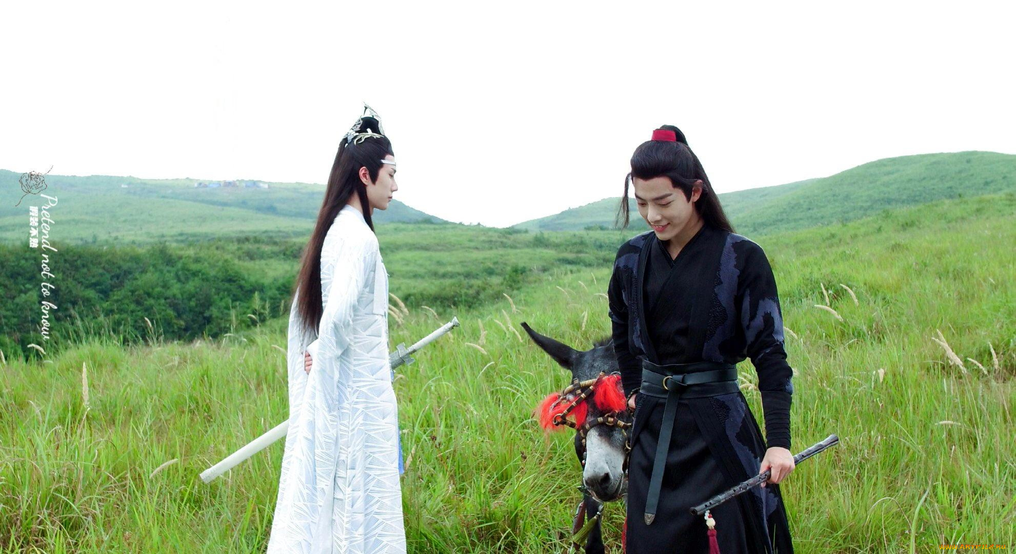 кино, фильмы, the, untamed, лань, ванцзи, вэй, усянь, ослик