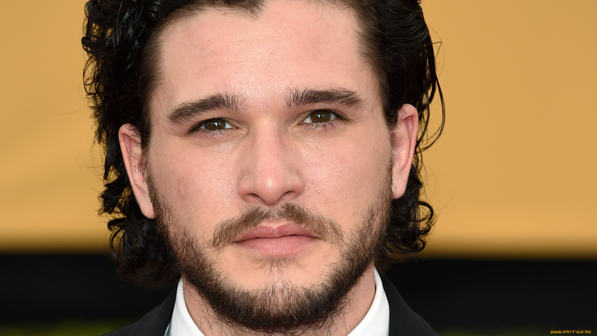 мужчины, kit, harington, лицо, актер, борода