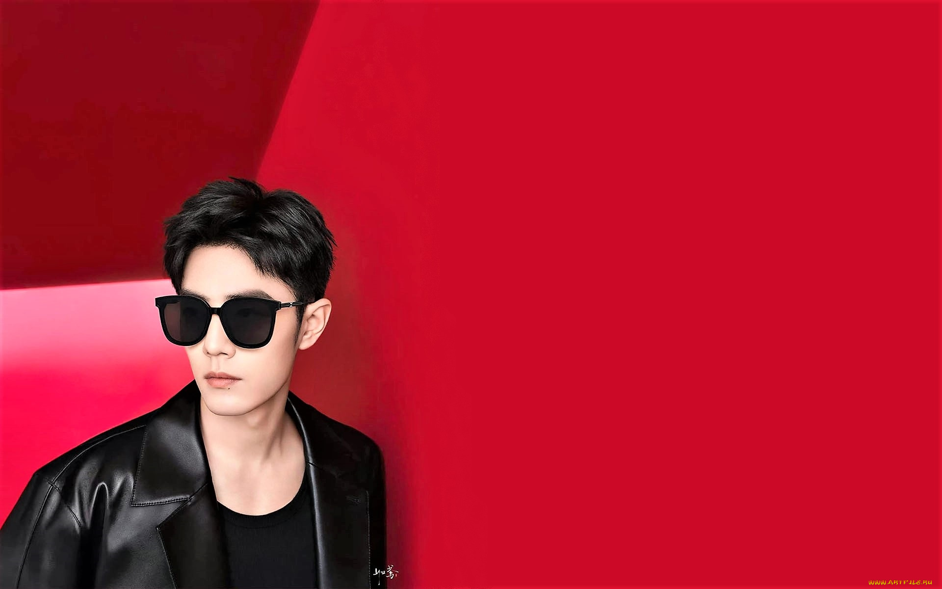 мужчины, xiao, zhan, актер, лицо, очки, куртка