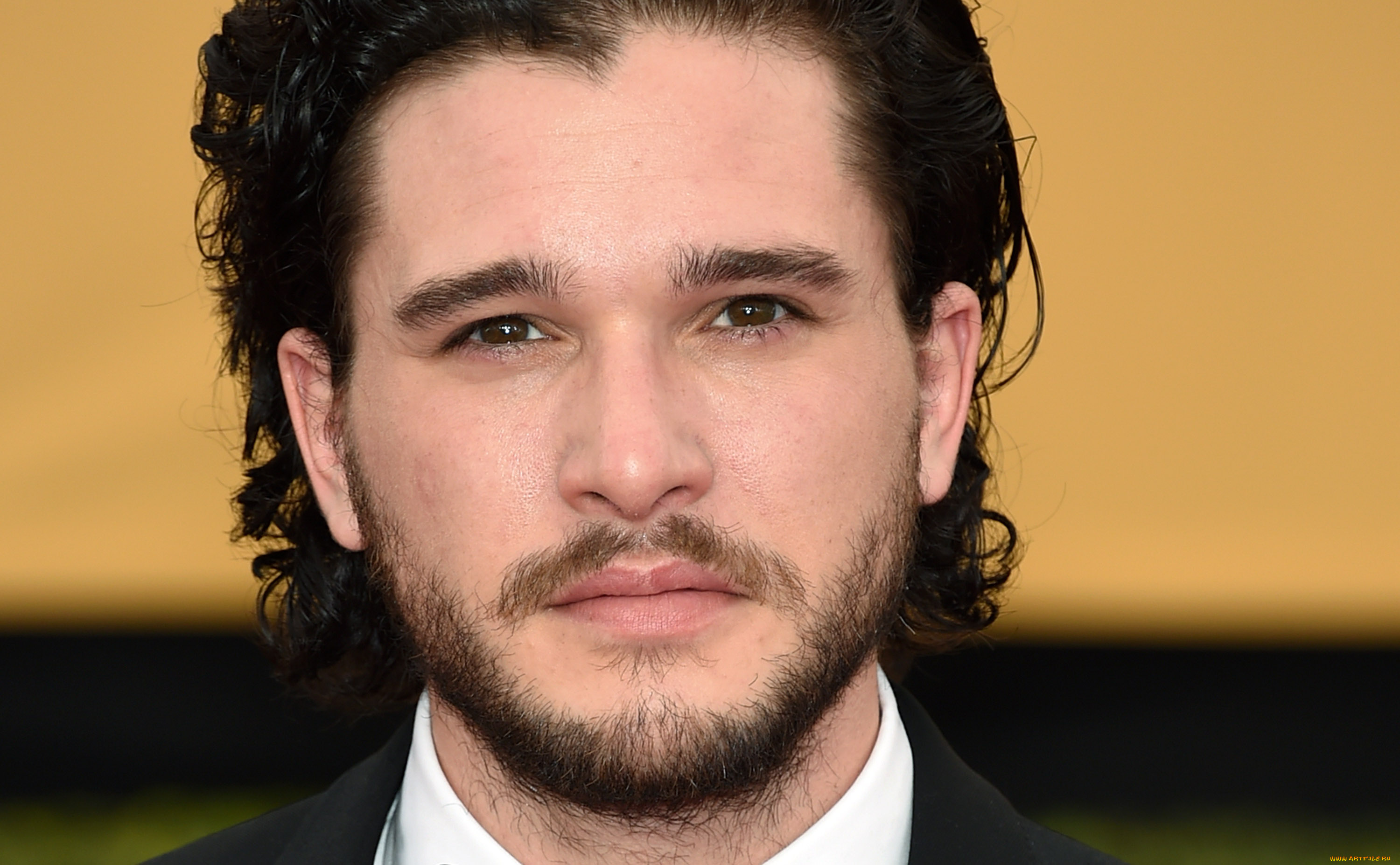 мужчины, kit, harington, лицо, актер, борода