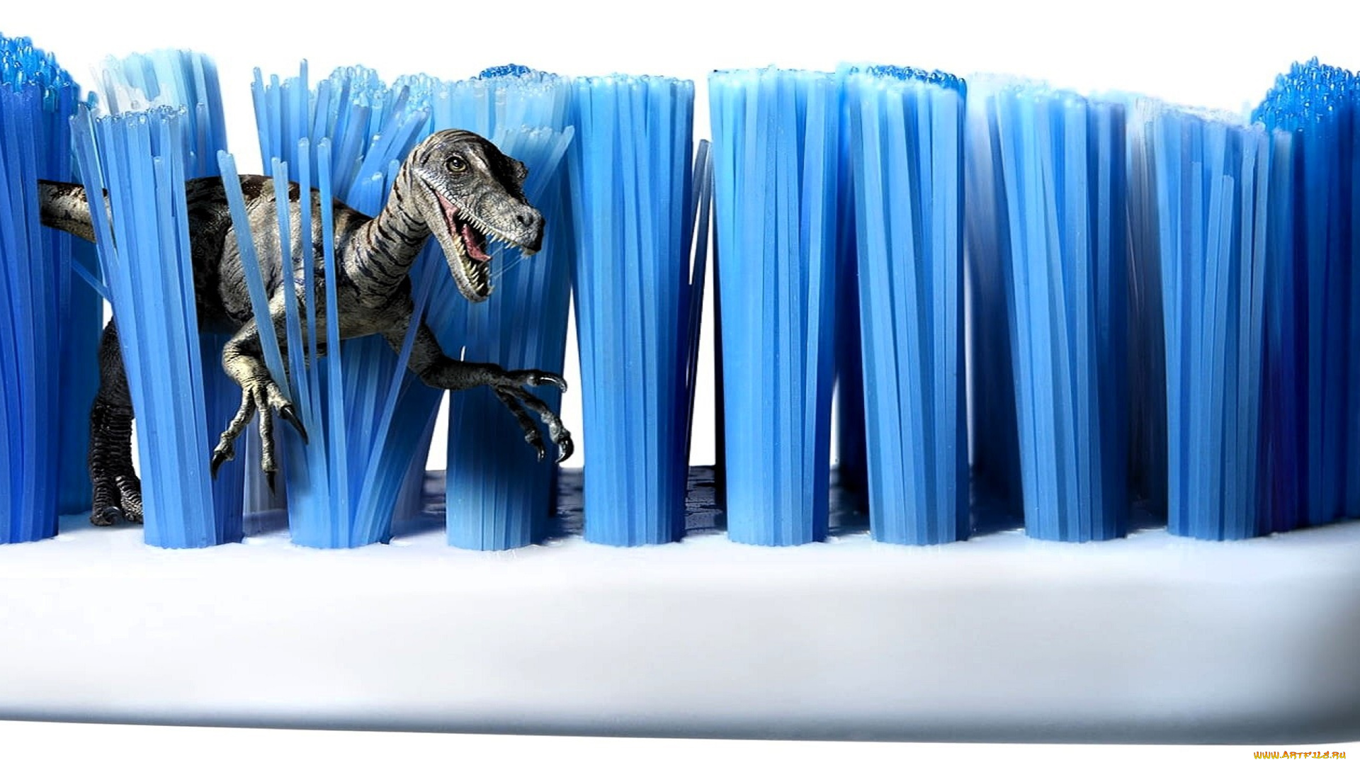 юмор, и, приколы, зубная, щетка, щетина, динозавр